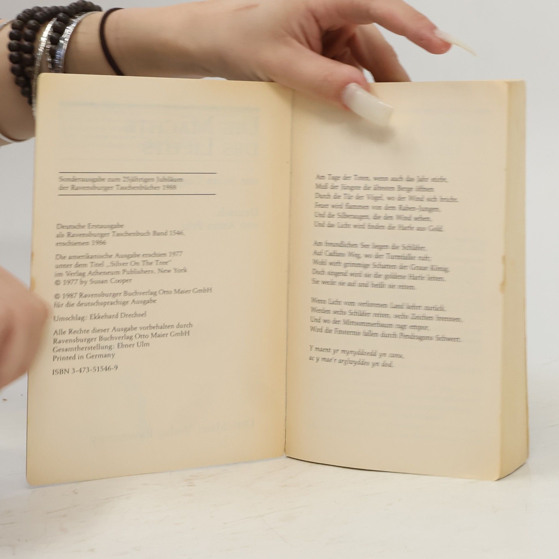 Susan Cooper Die Mächte des Lichts