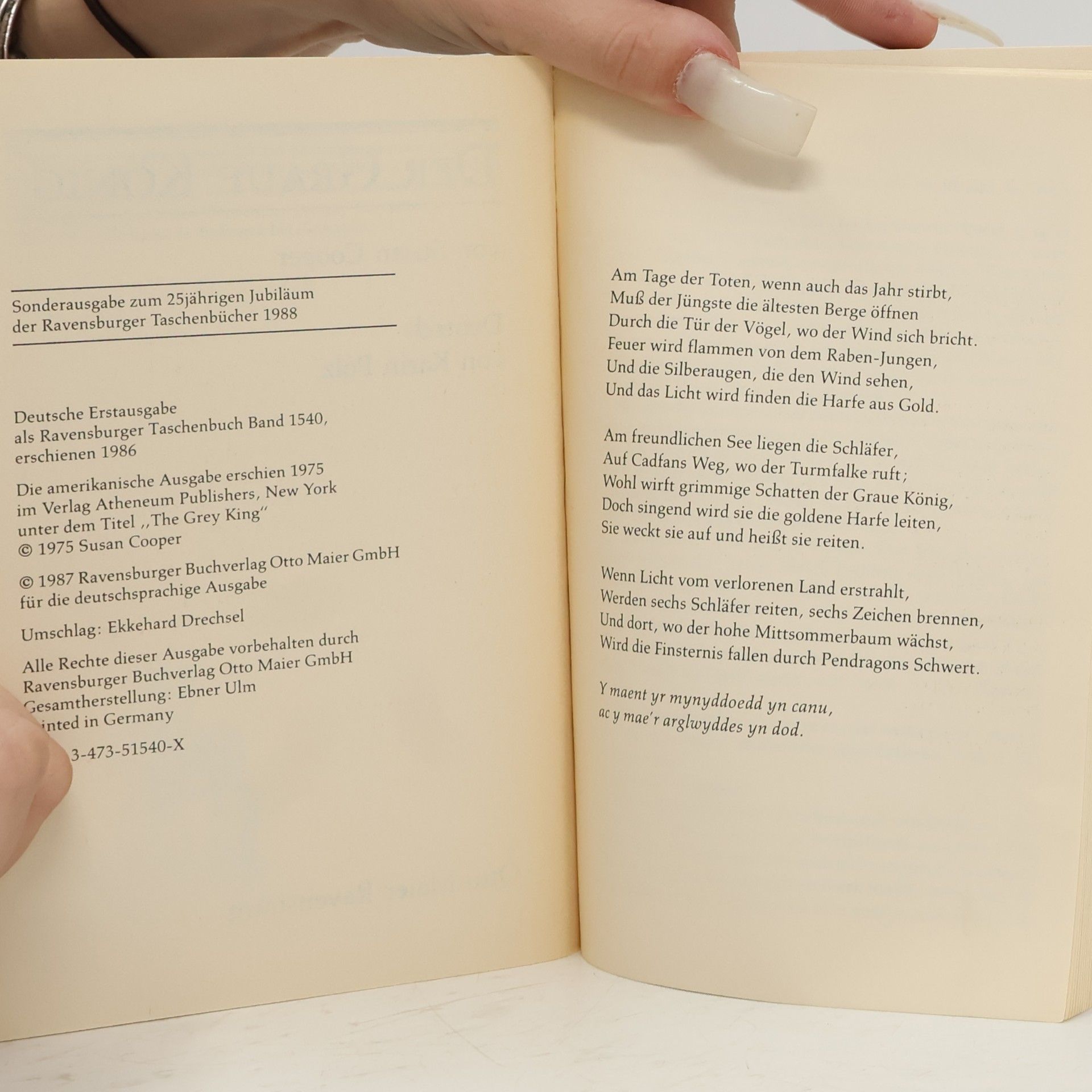 Susan Cooper Der Graue König