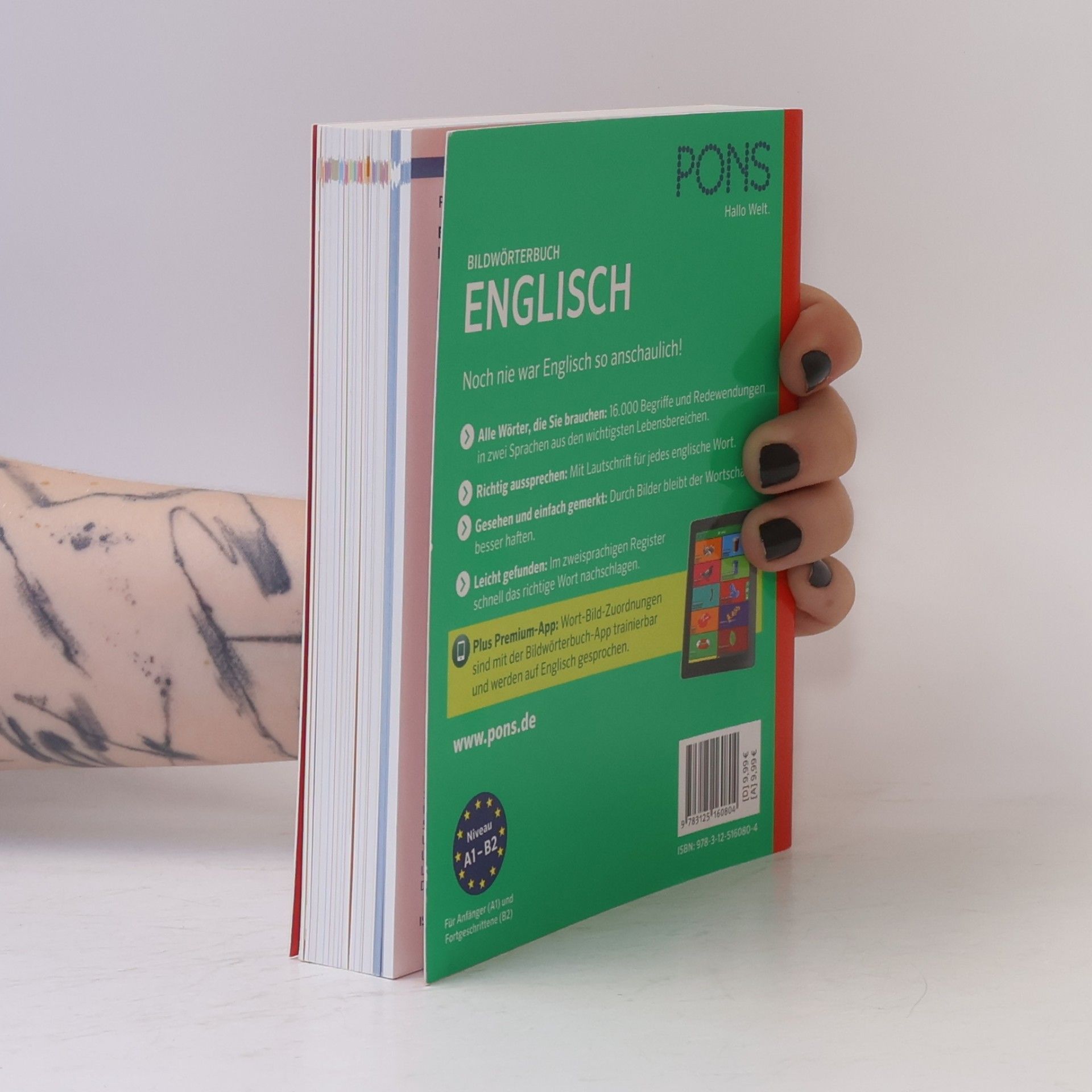Anette Dralle PONS Bildwörterbuch Englisch Deutsch