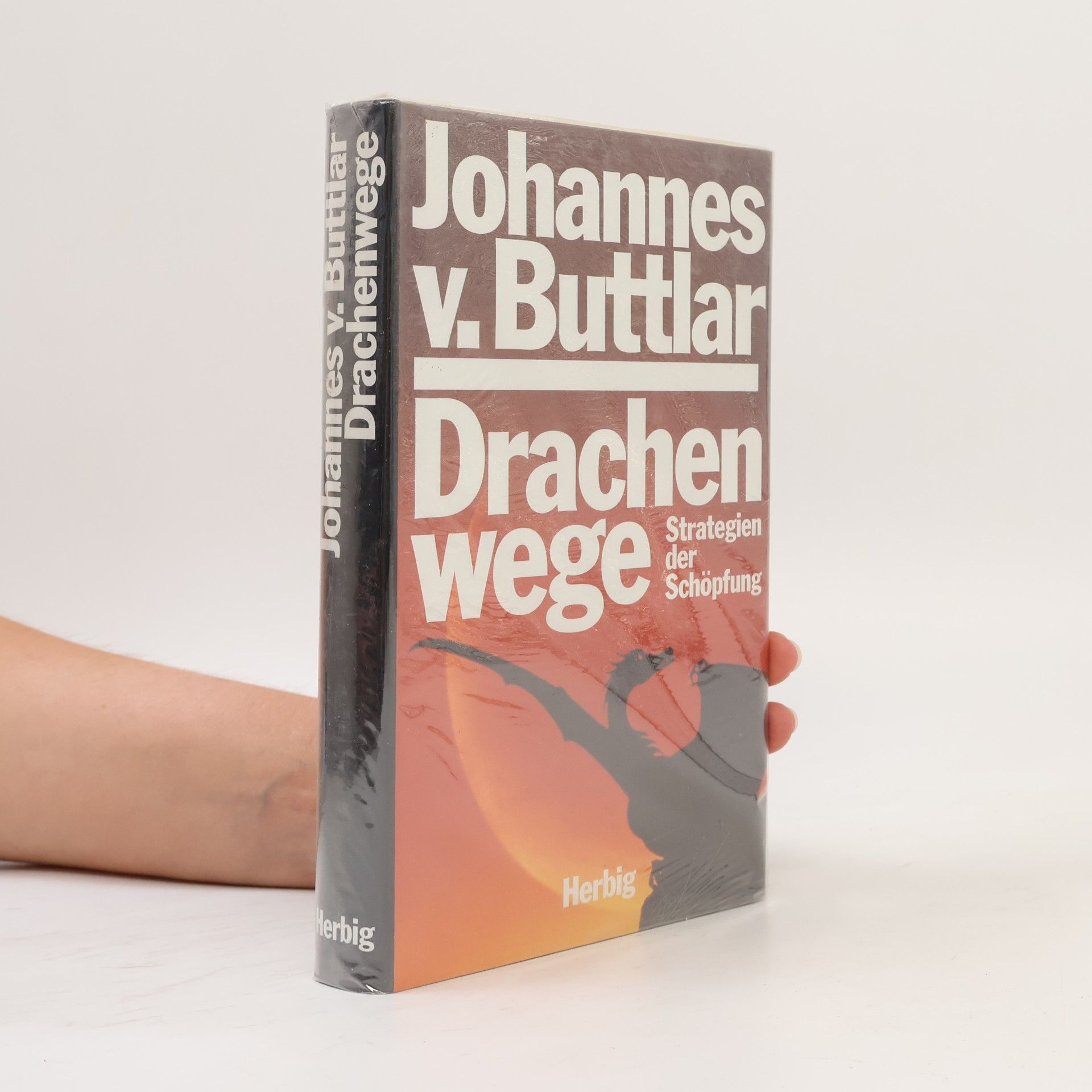 Johannes von Buttlar Drachenwege