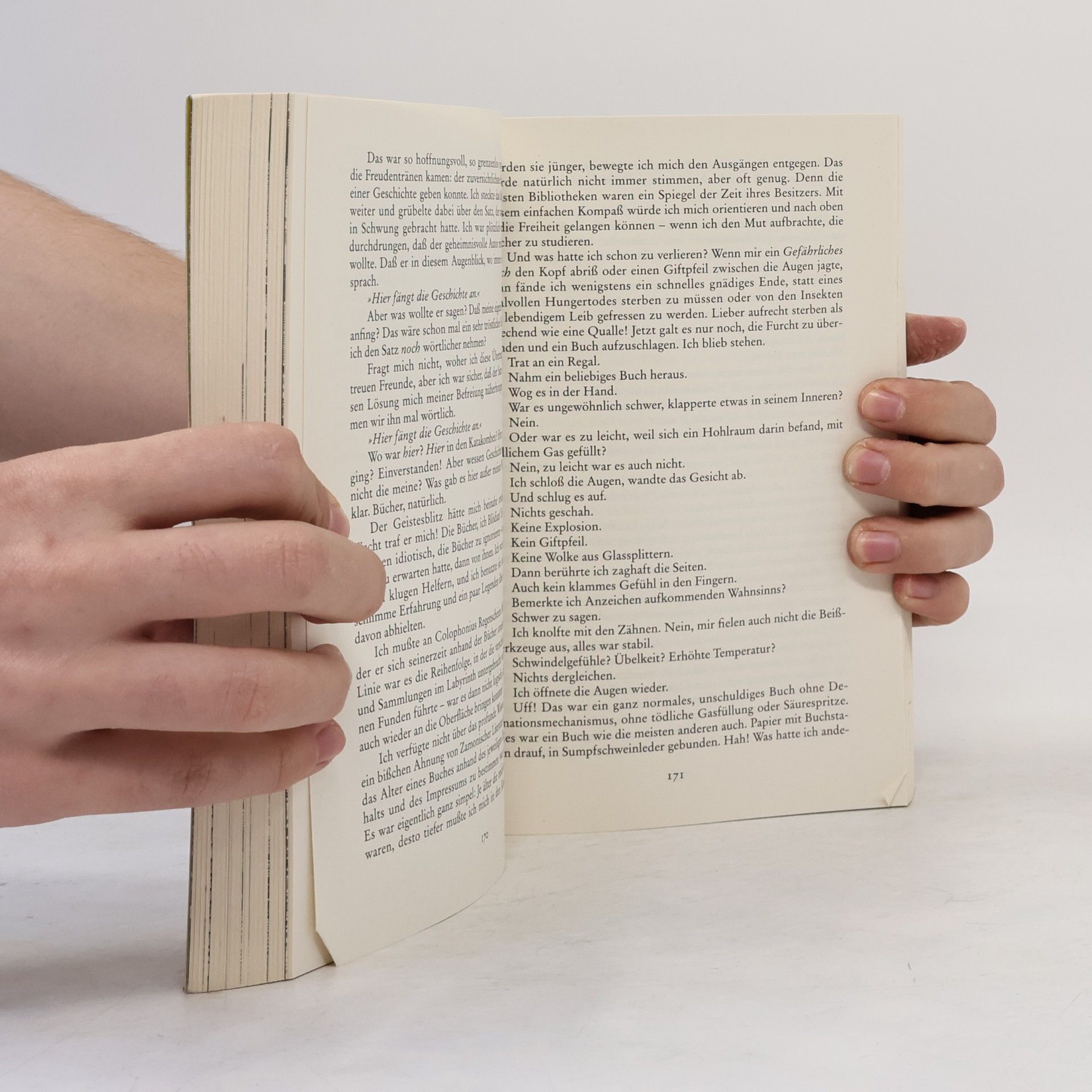 Walter Moers Die Stadt der träumenden Bücher