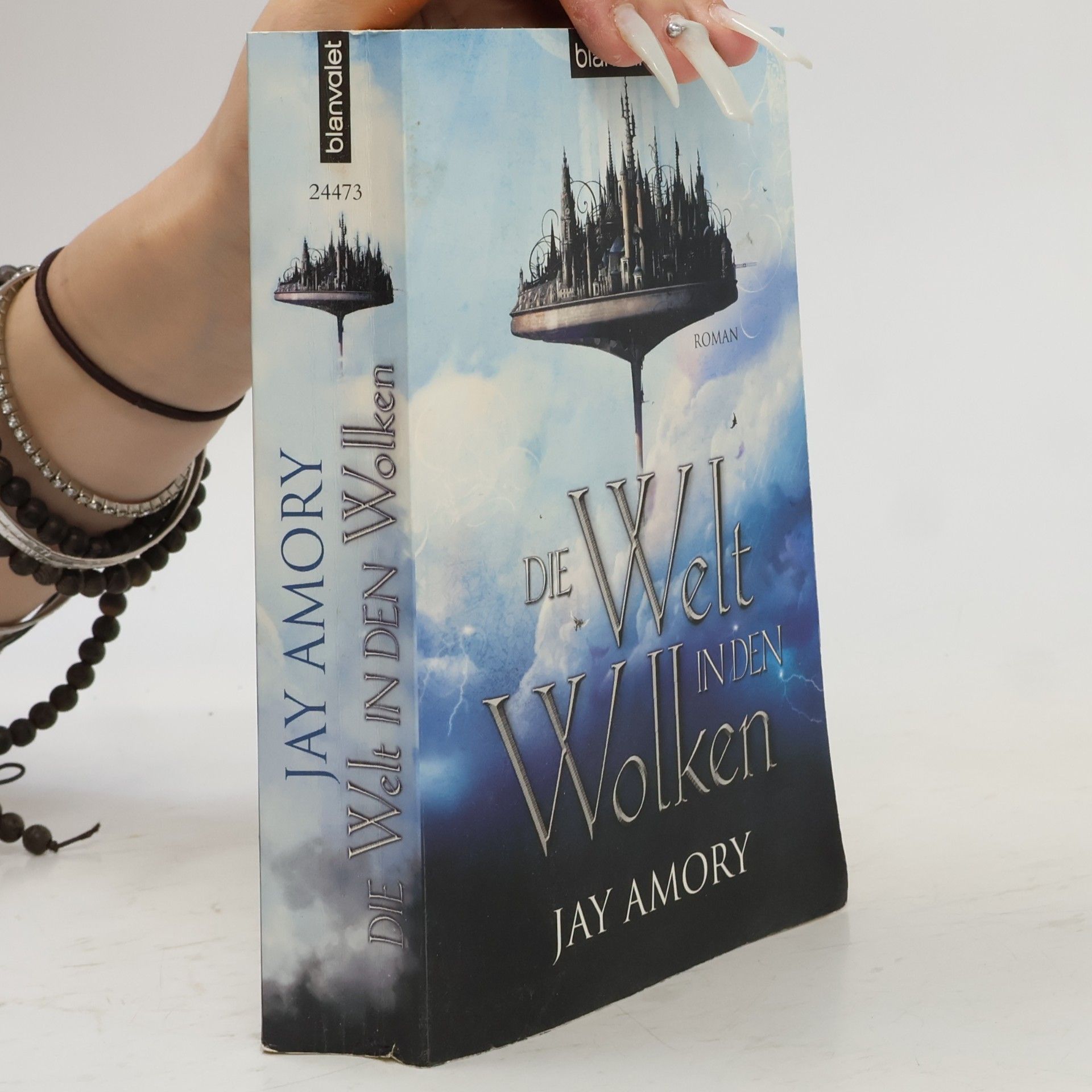 Jay Amory Die Welt in den Wolken