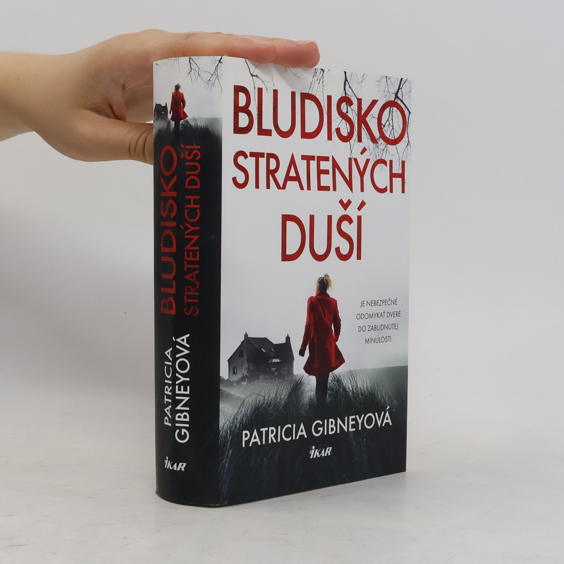 Patricia Gibney Bludisko stratených duší