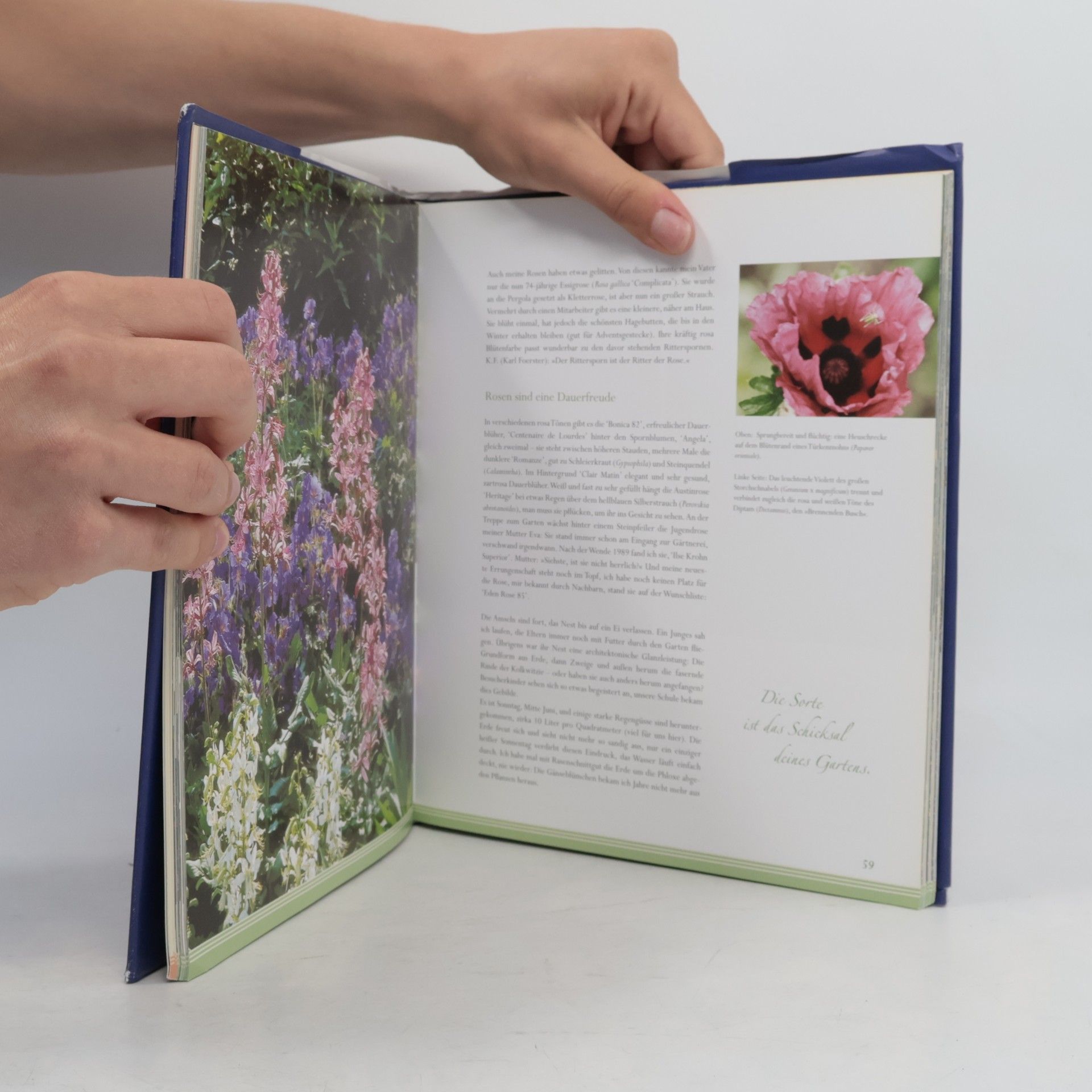 Marianne Förster Der Garten meines Vaters Karl Foerster