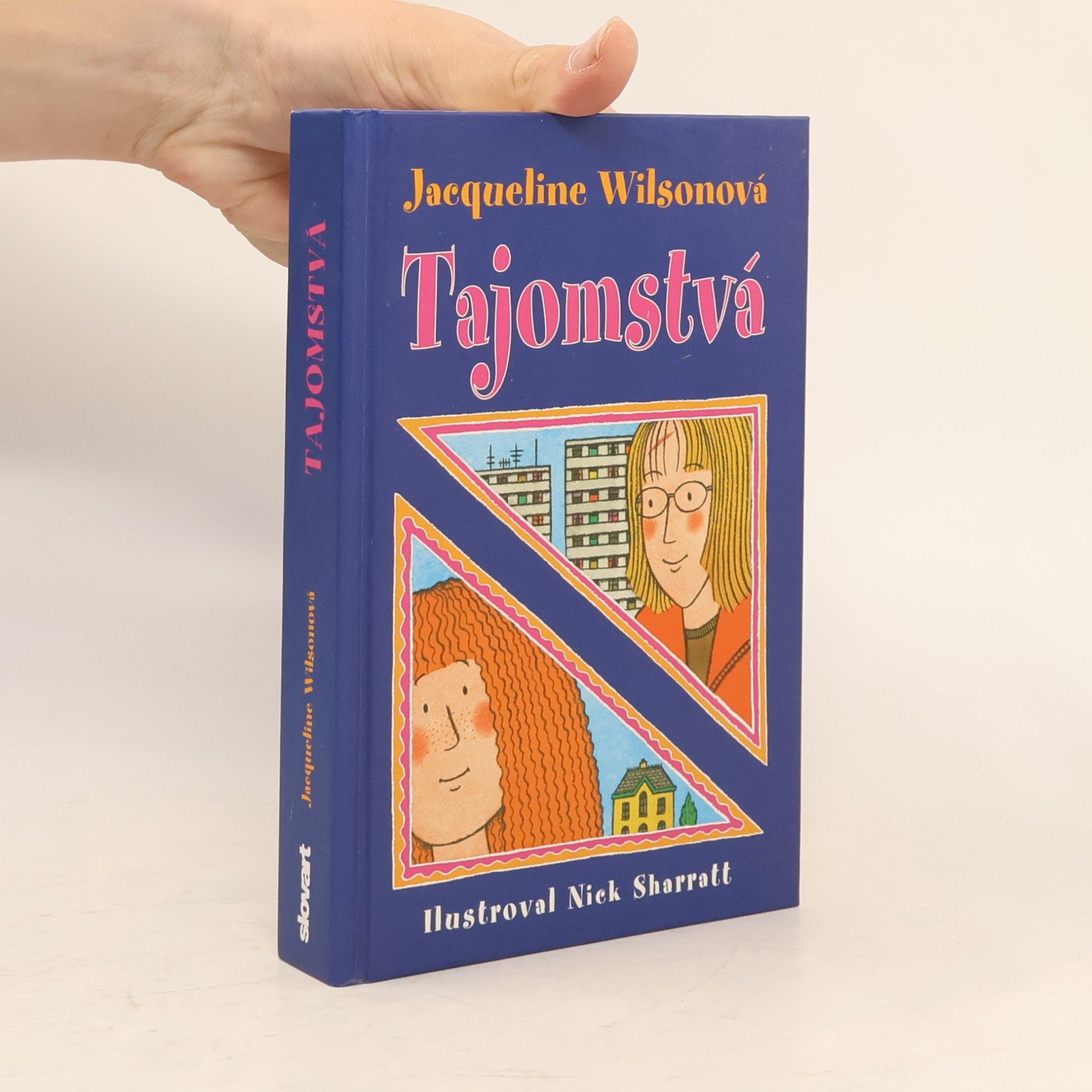 Jacqueline Wilson Tajomstvá