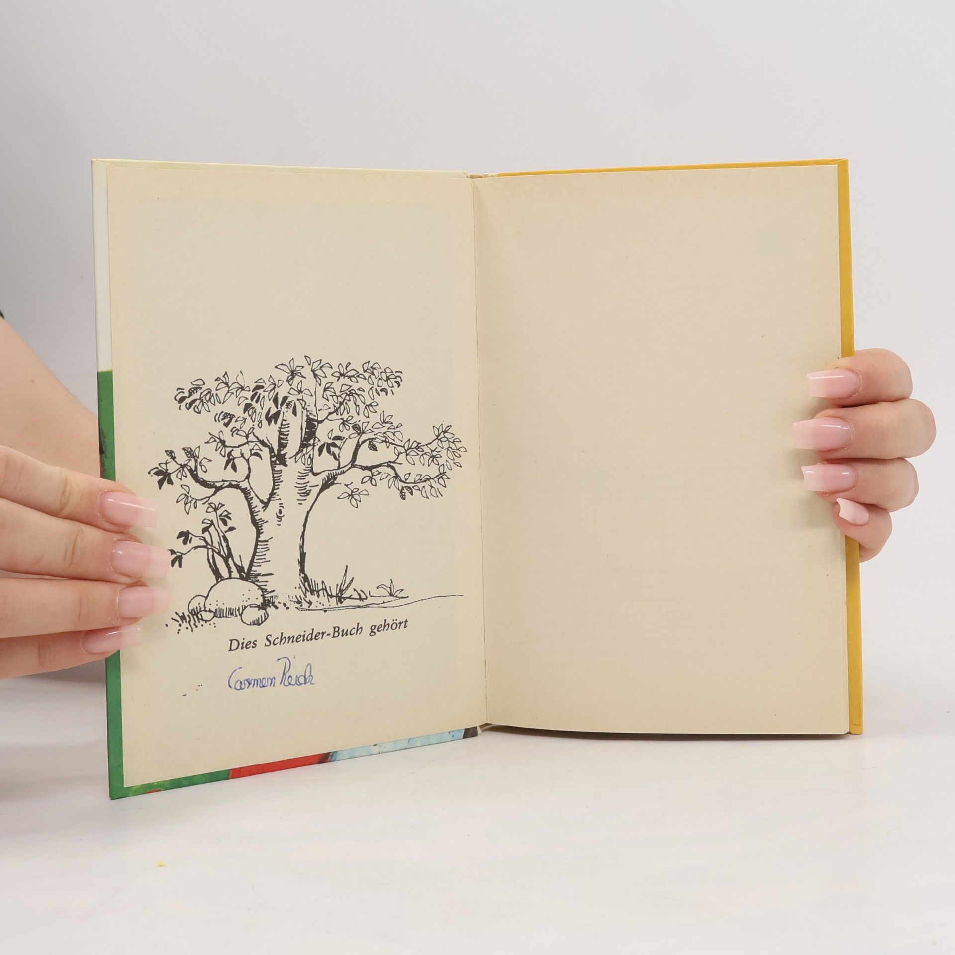 Enid Blyton Familie Langfeld II. Geheimnisse