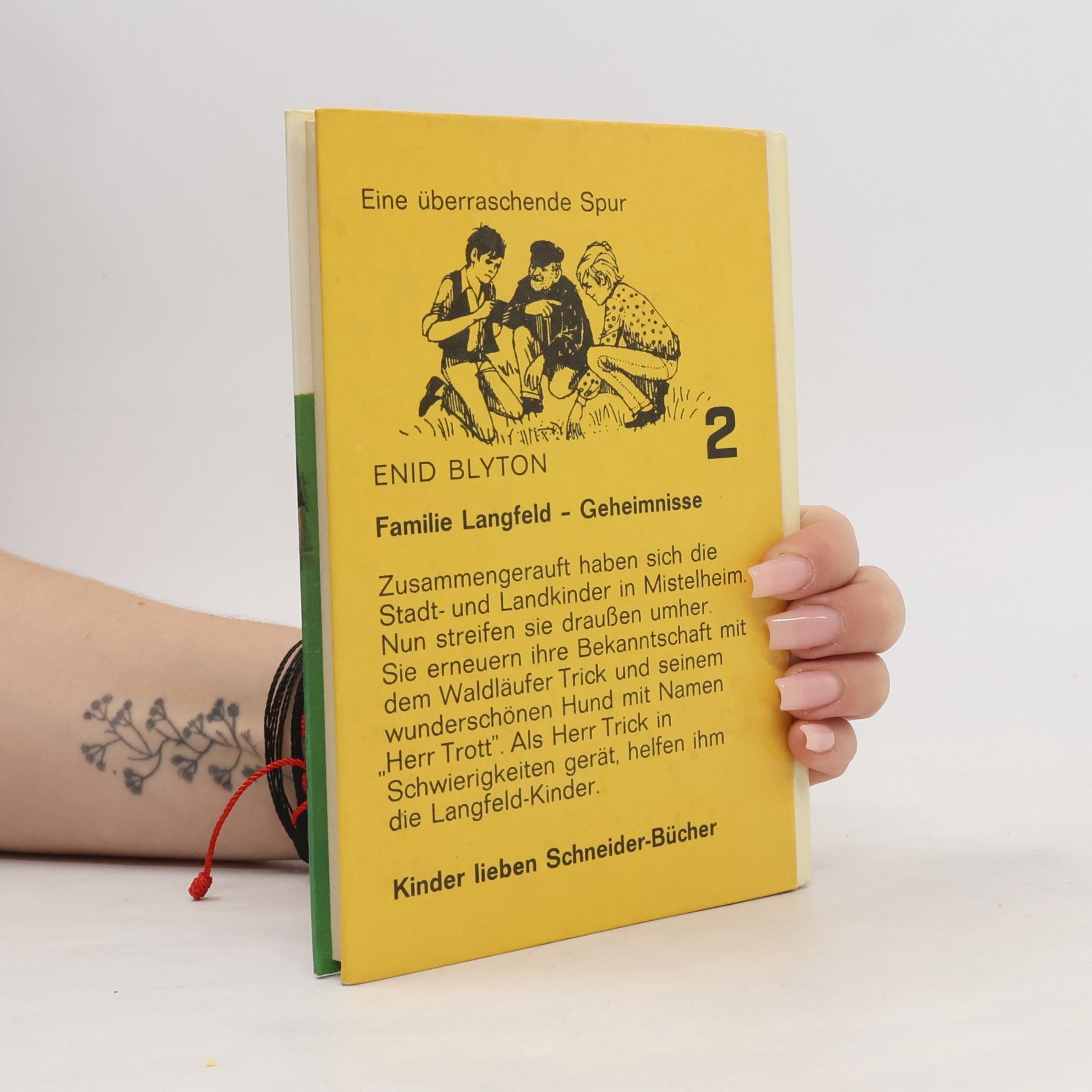 Enid Blyton Familie Langfeld II. Geheimnisse