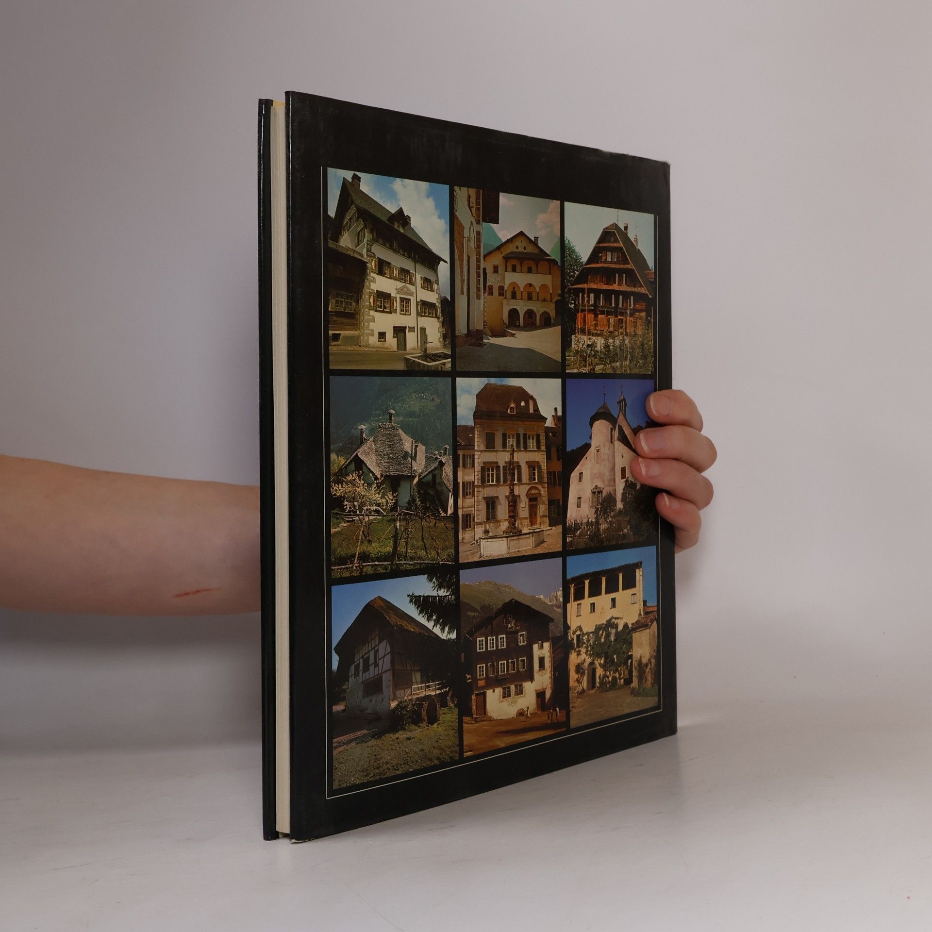 Paul Leonhard Ganz La Maison Suisse