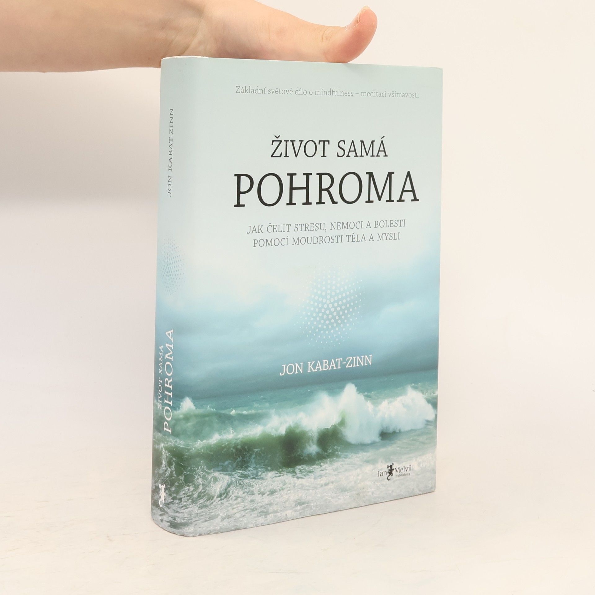 Jon Kabat-Zinn Život samá pohroma
