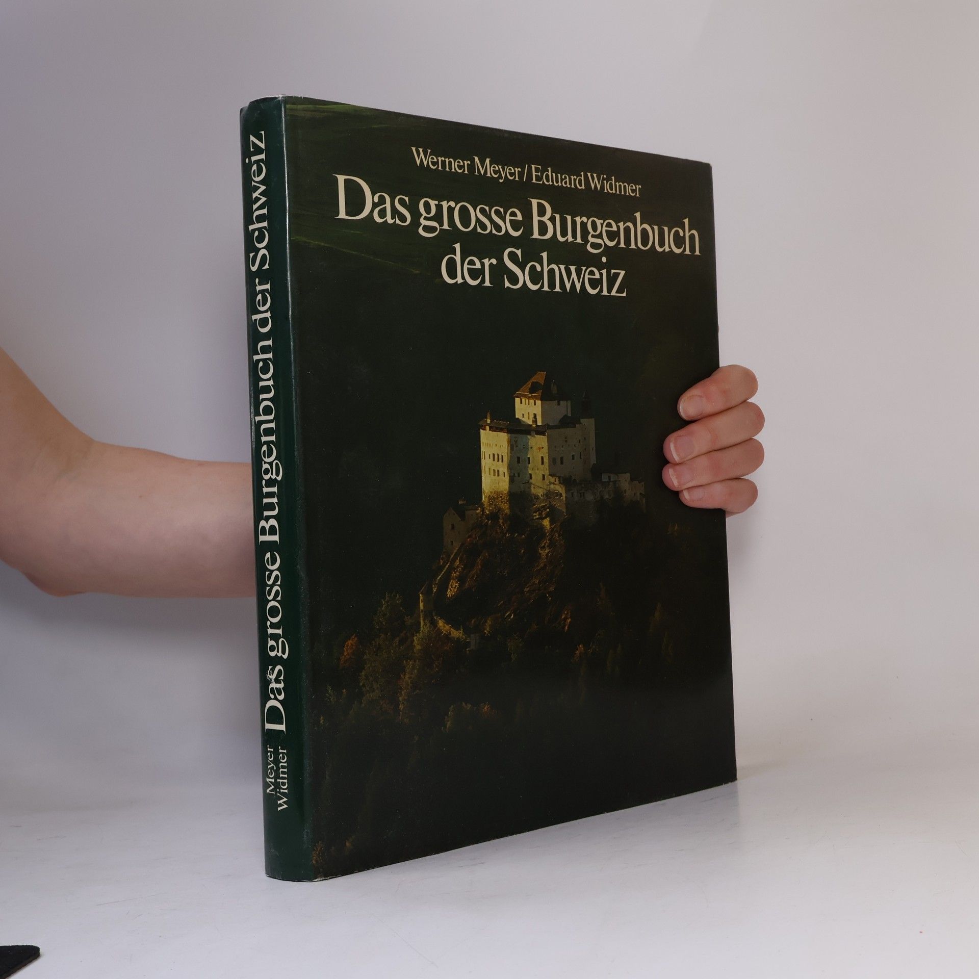 Werner Meyer-Larsen Das grosse Burgenbuch der Schweiz