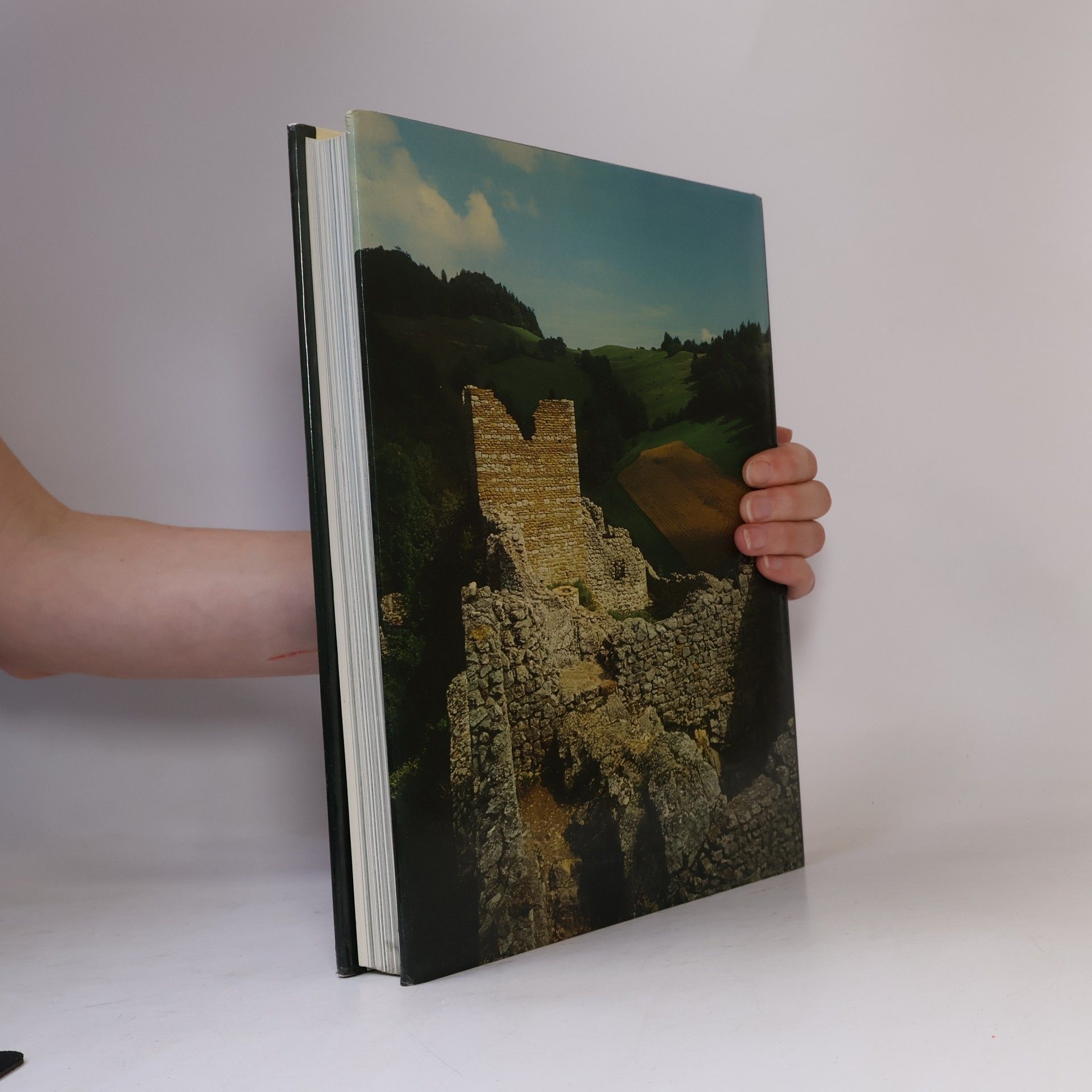 Werner Meyer-Larsen Das grosse Burgenbuch der Schweiz