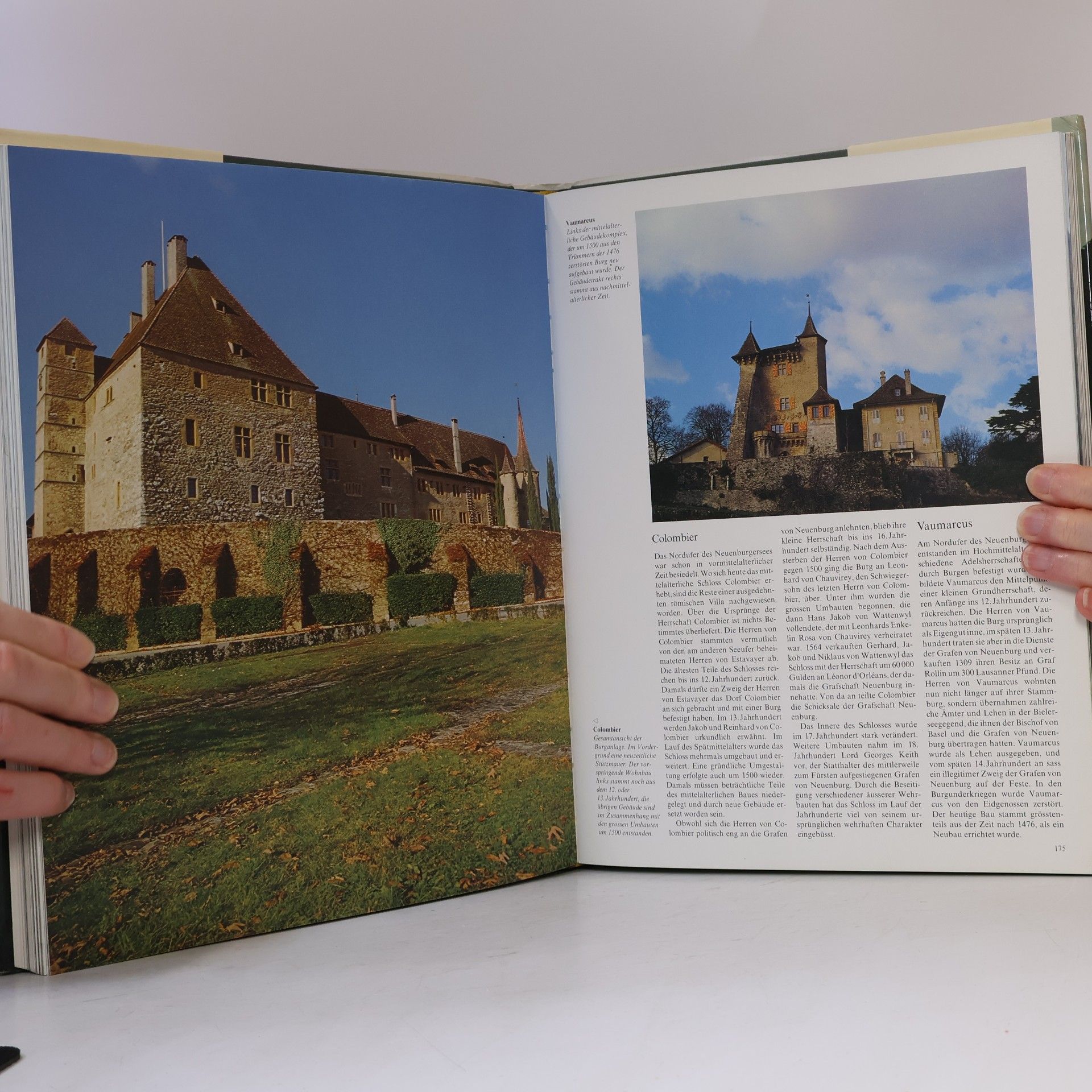 Werner Meyer-Larsen Das grosse Burgenbuch der Schweiz