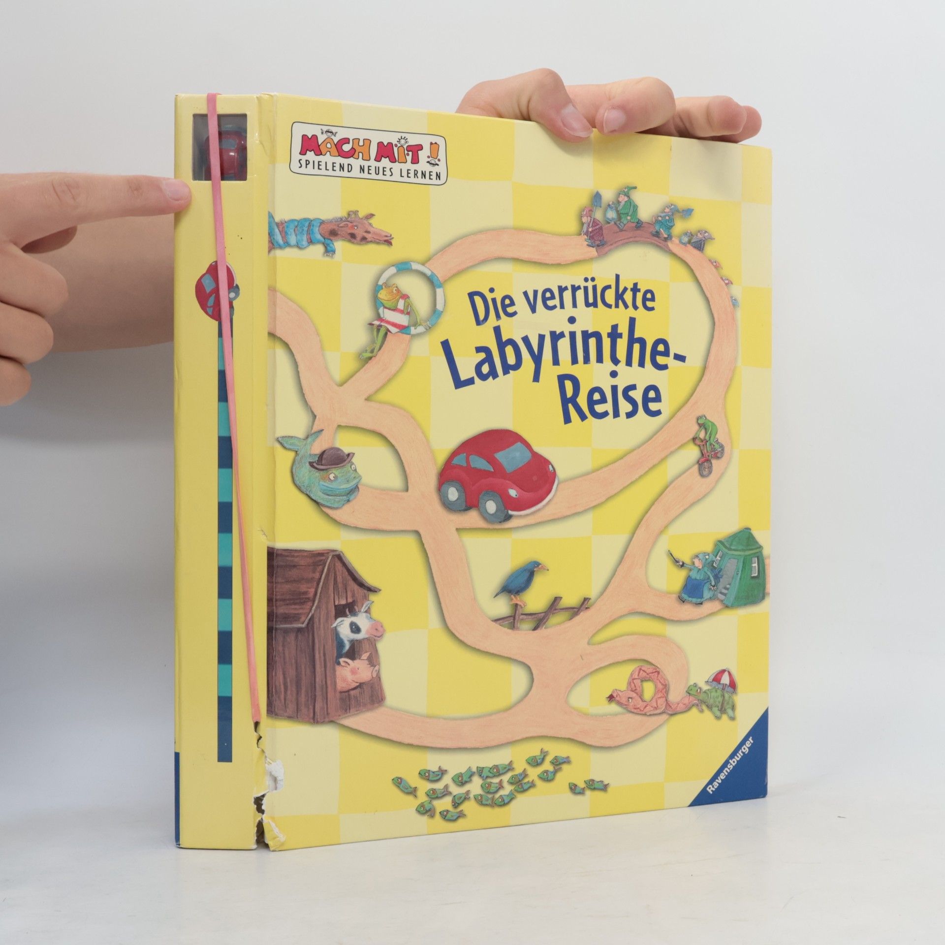 Rainer Lewandowski Die verrückte Labyrinthe-Reise