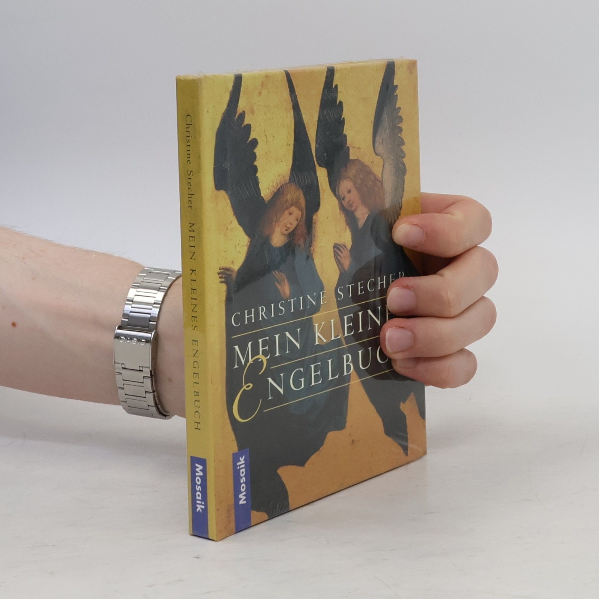 Stecher Christine Mein kleines Engelbuch