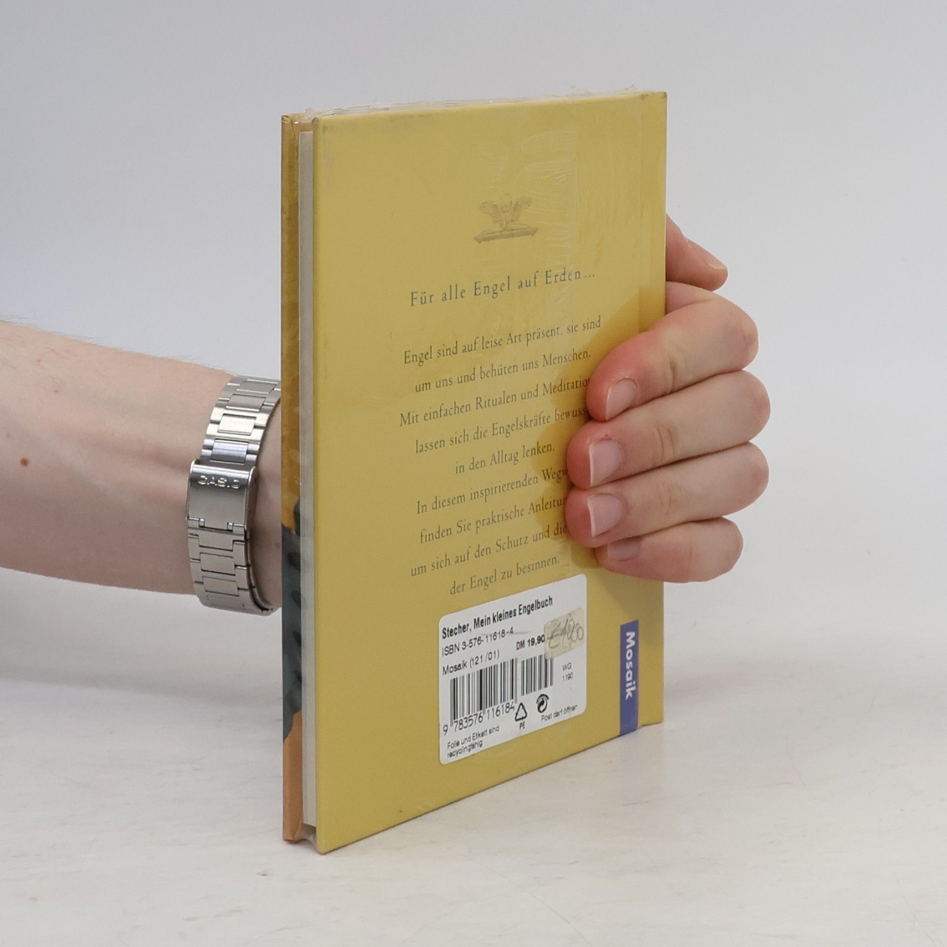 Christine Stecher Mein kleines Engelbuch
