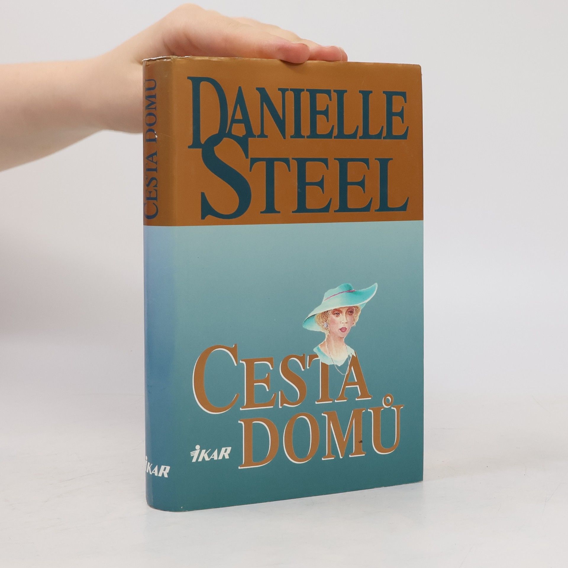 Danielle Steel Cesta domů