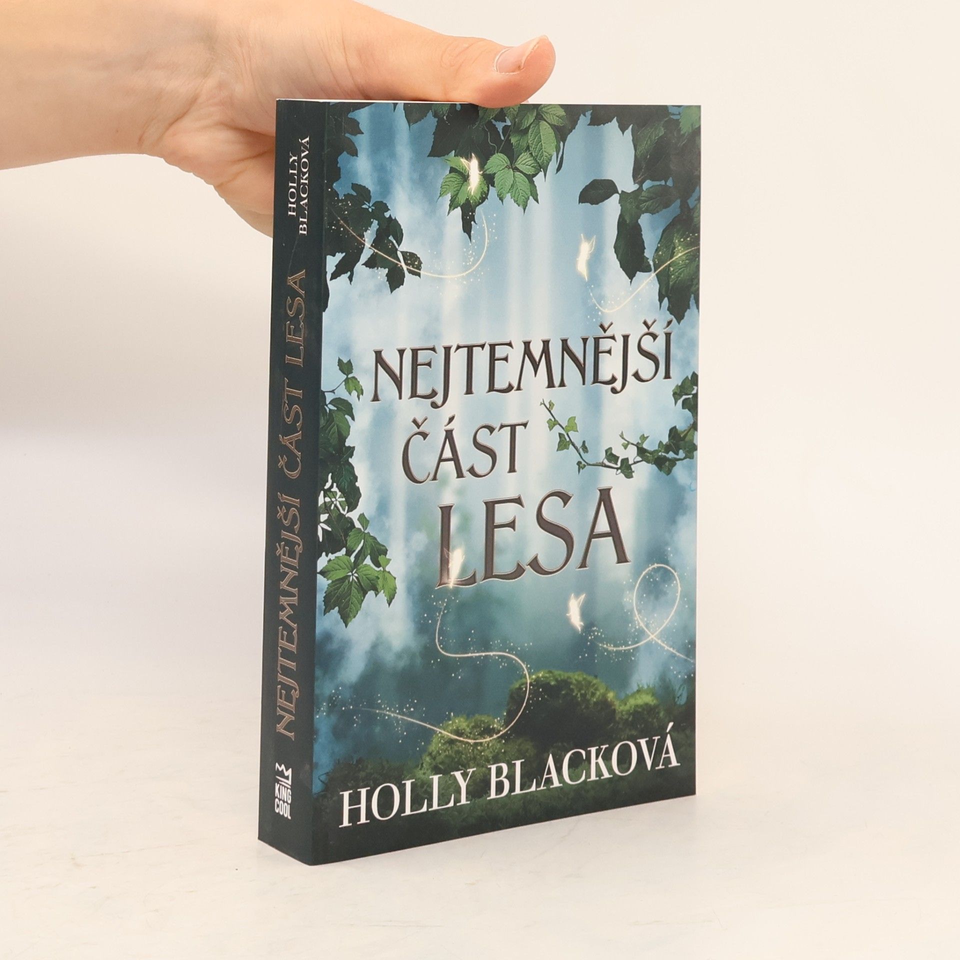 Holly Black Nejtemnější část lesa