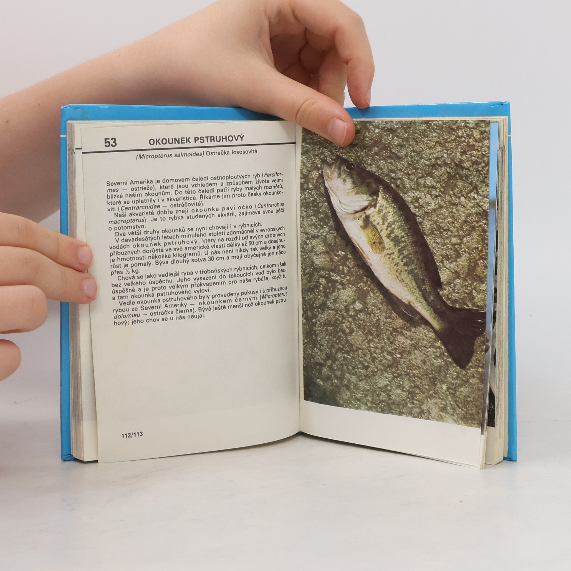 Otakar Štěpánek Kapesní atlas ryb, obojživelníků a plazů