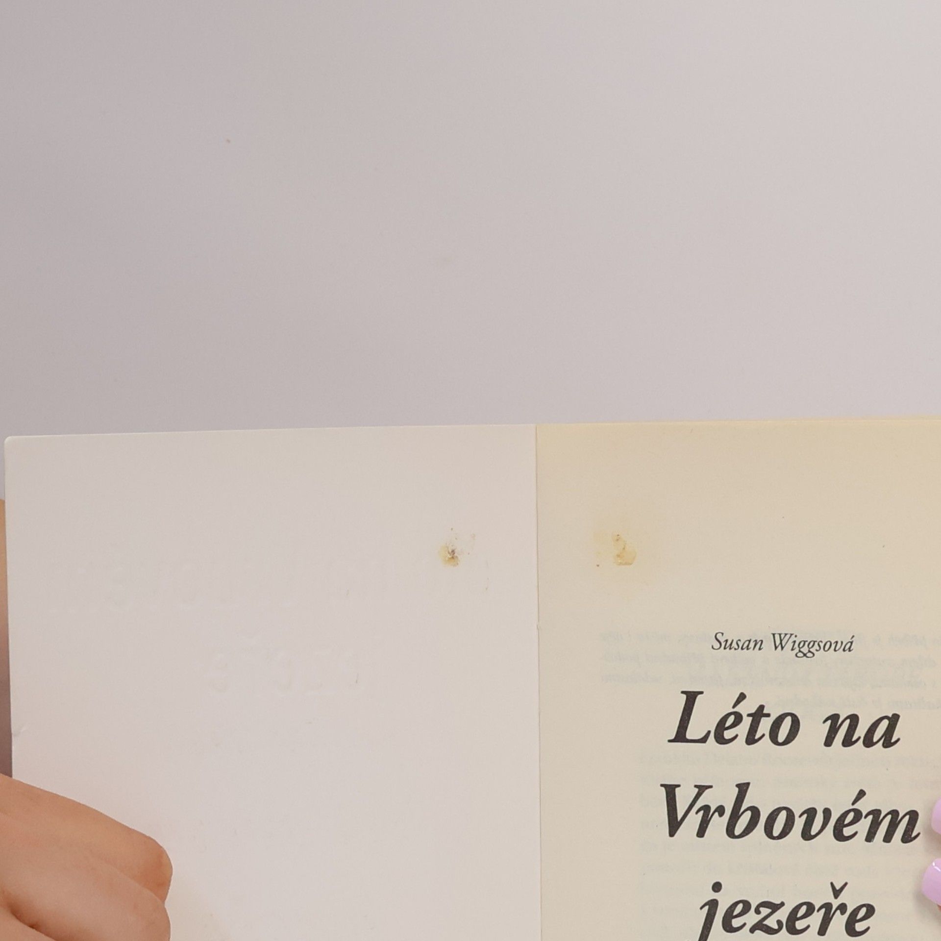 Susan Wiggs Léto na Vrbovém jezeře