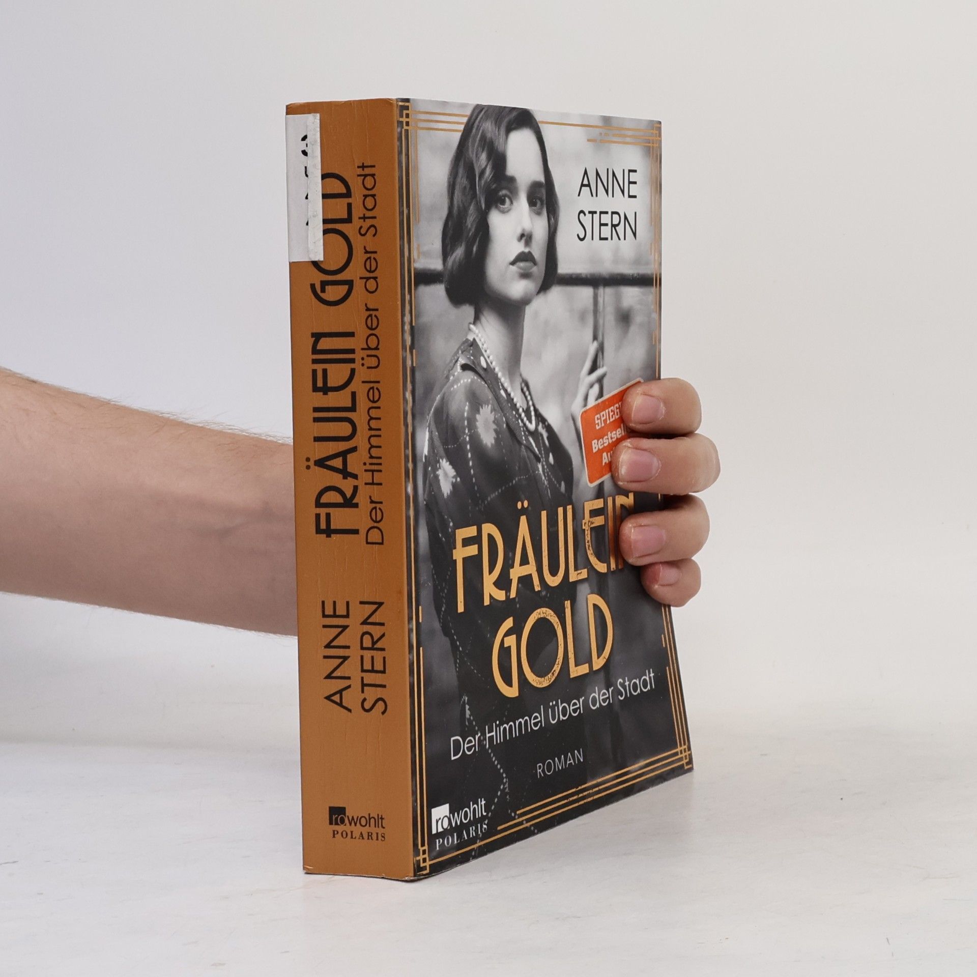 Anne Stern Fräulein Gold: Der Himmel über der Stadt