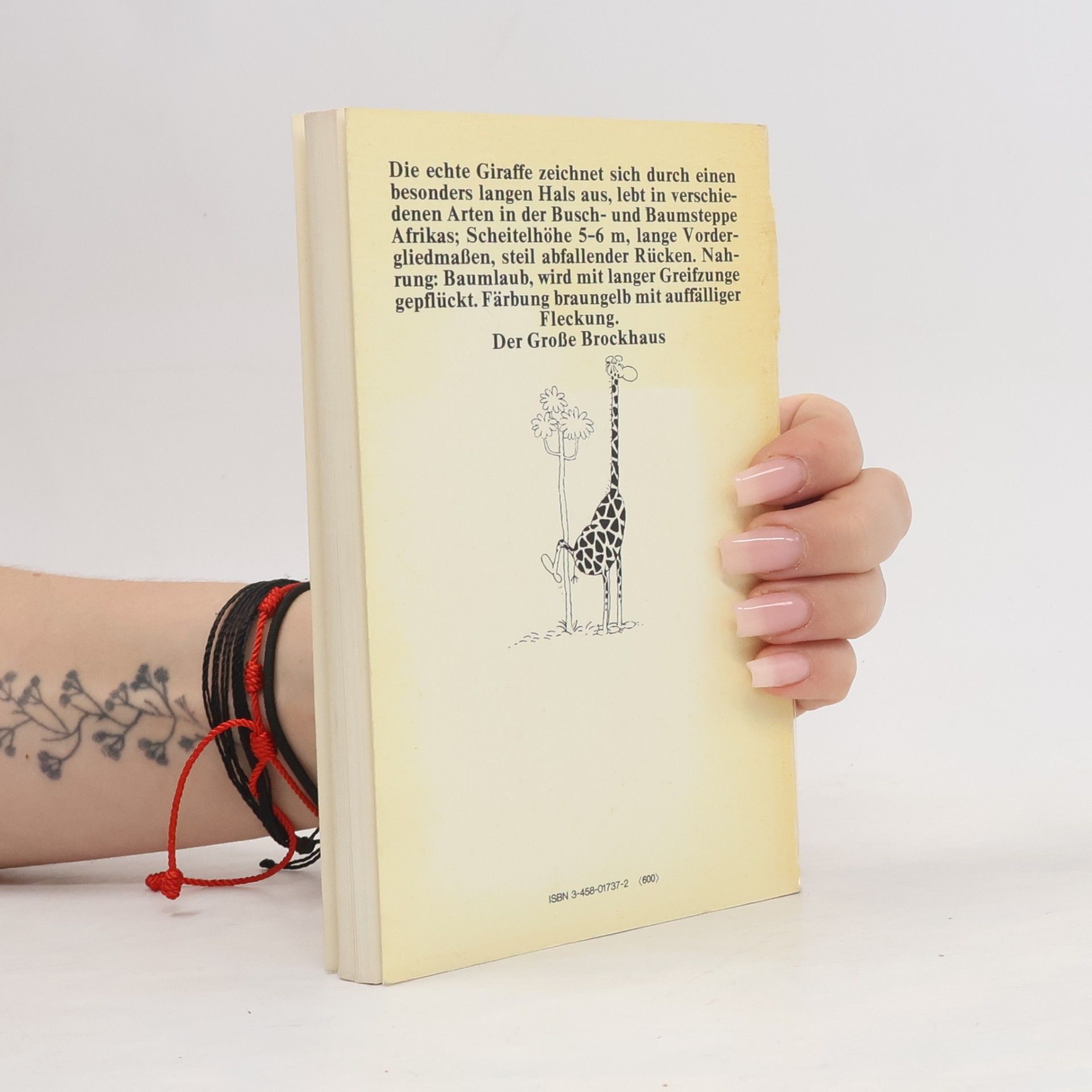 Guillermo Mordillo Das Giraffenbuch