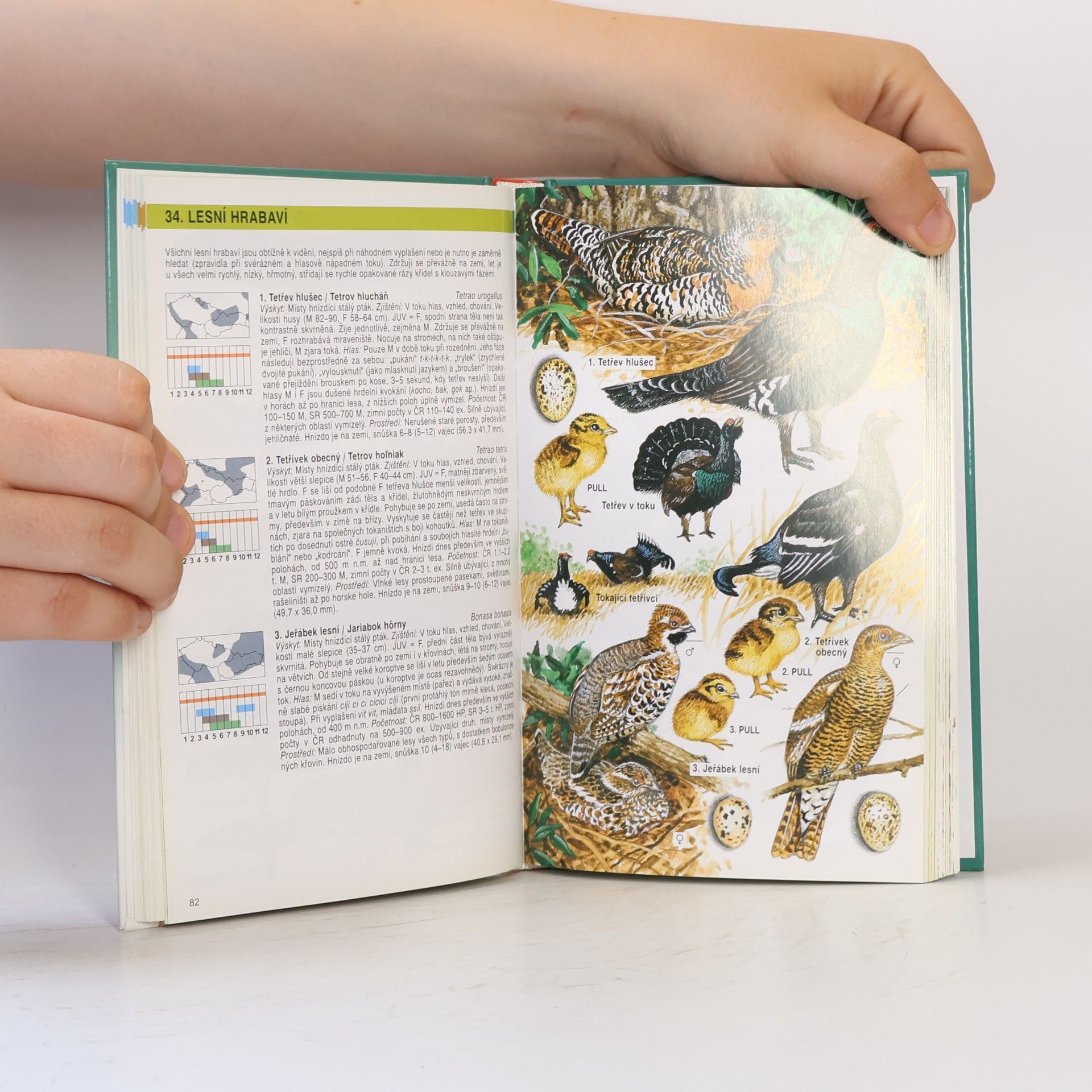 Jan Dungel Atlas ptáků České a Slovenské republiky