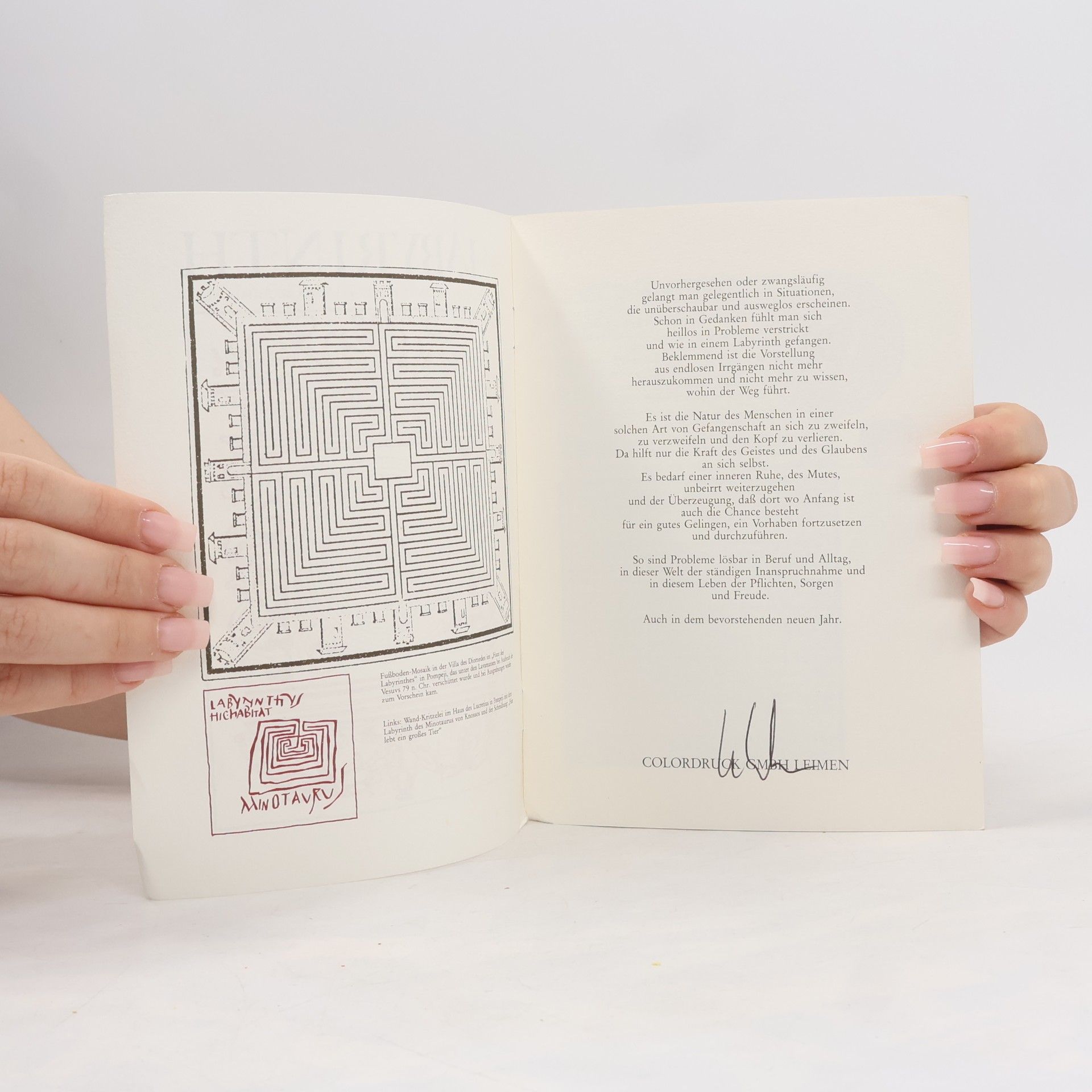 kolektiv Das Labyrinth als „geistlicher Irrgarten“ in Beispielen der Buchdruckerei