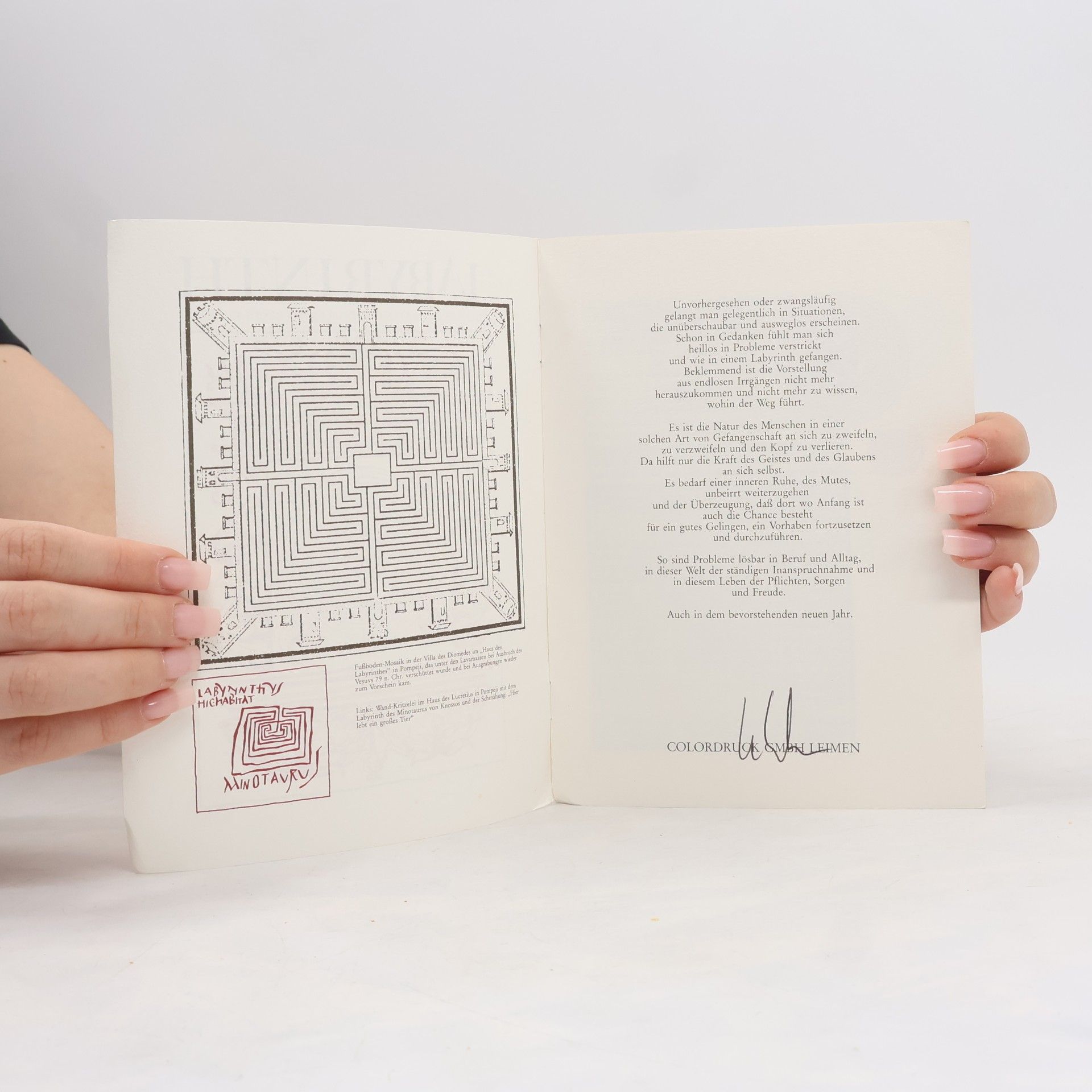 kolektiv Das Labyrinth als „geistlicher Irrgarten“ in Beispielen der Buchdruckerei