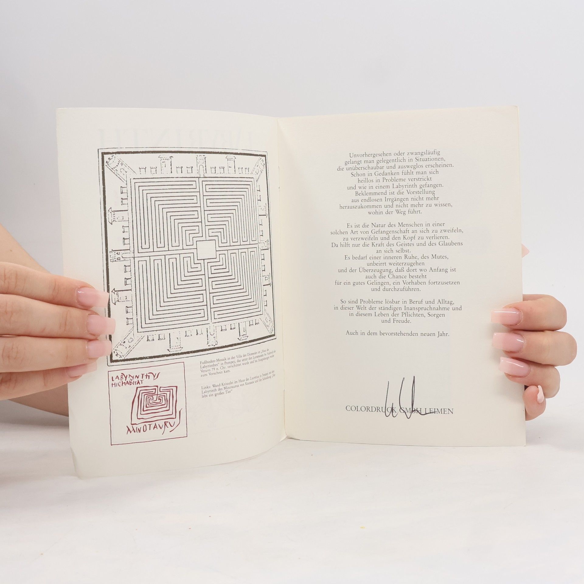 kolektiv Das Labyrinth als „geistlicher Irrgarten“ in Beispielen der Buchdruckerei