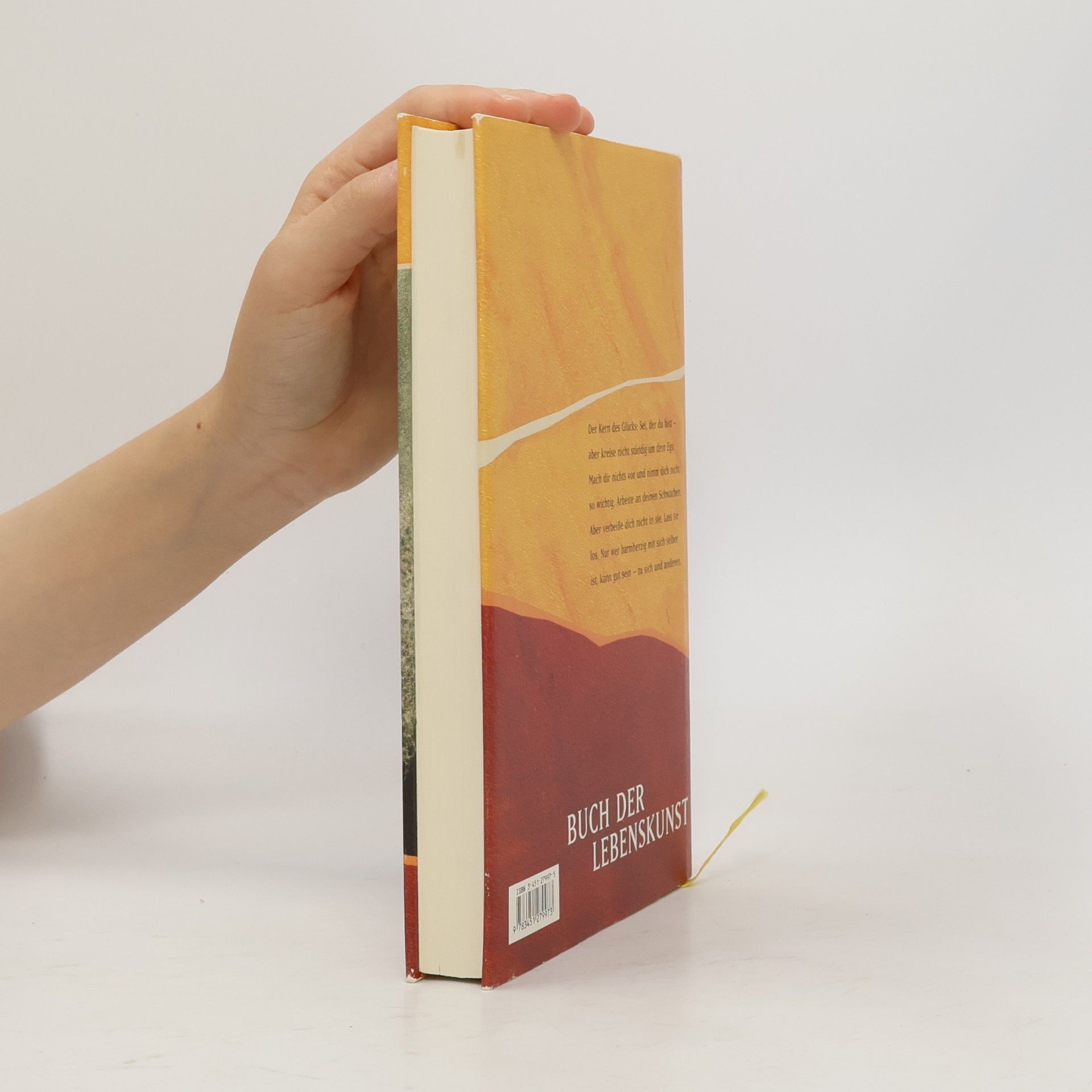 Anselm Grün Buch der Lebenskunst