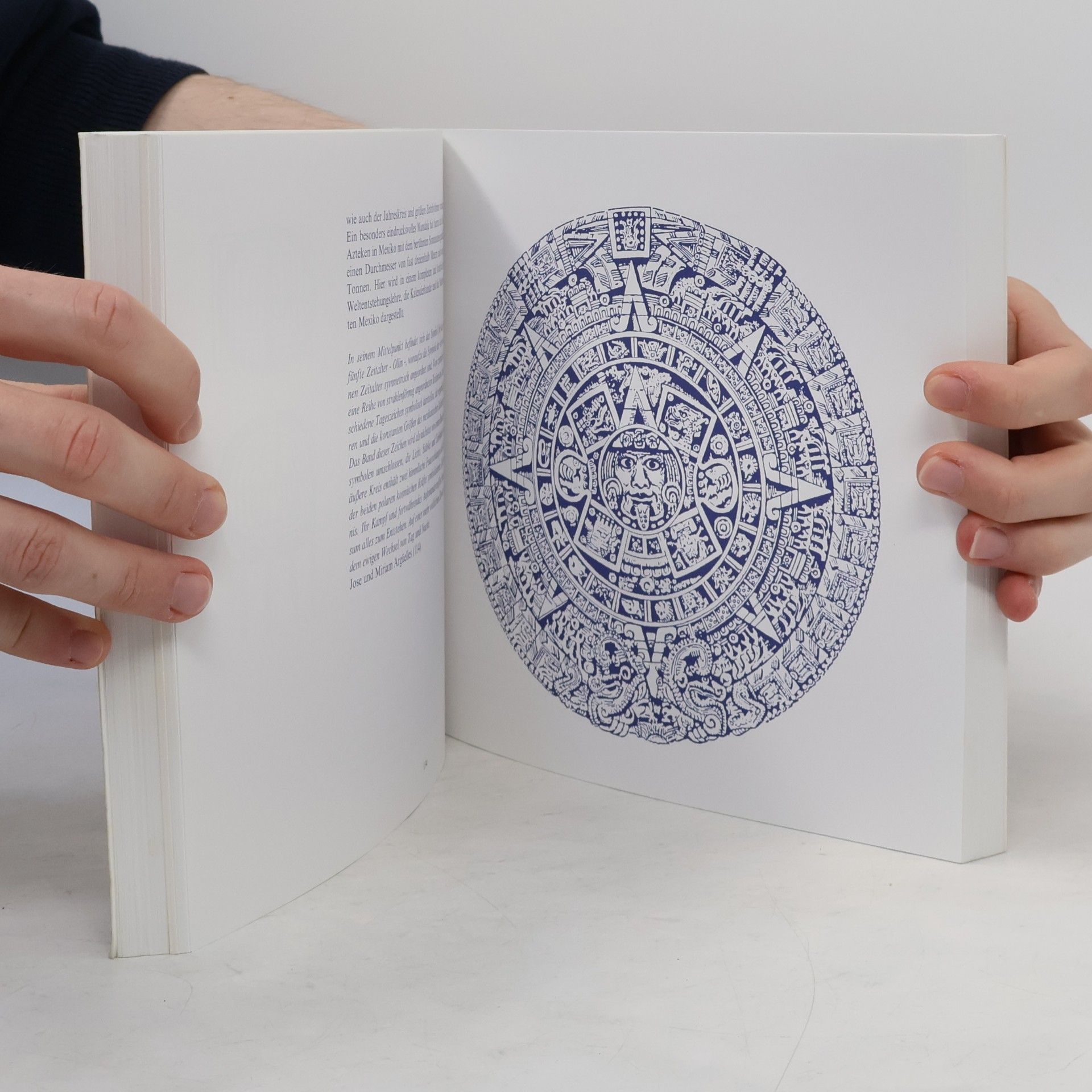 Klaus Holitzka Das Mandala als Grundstruktur des Universums