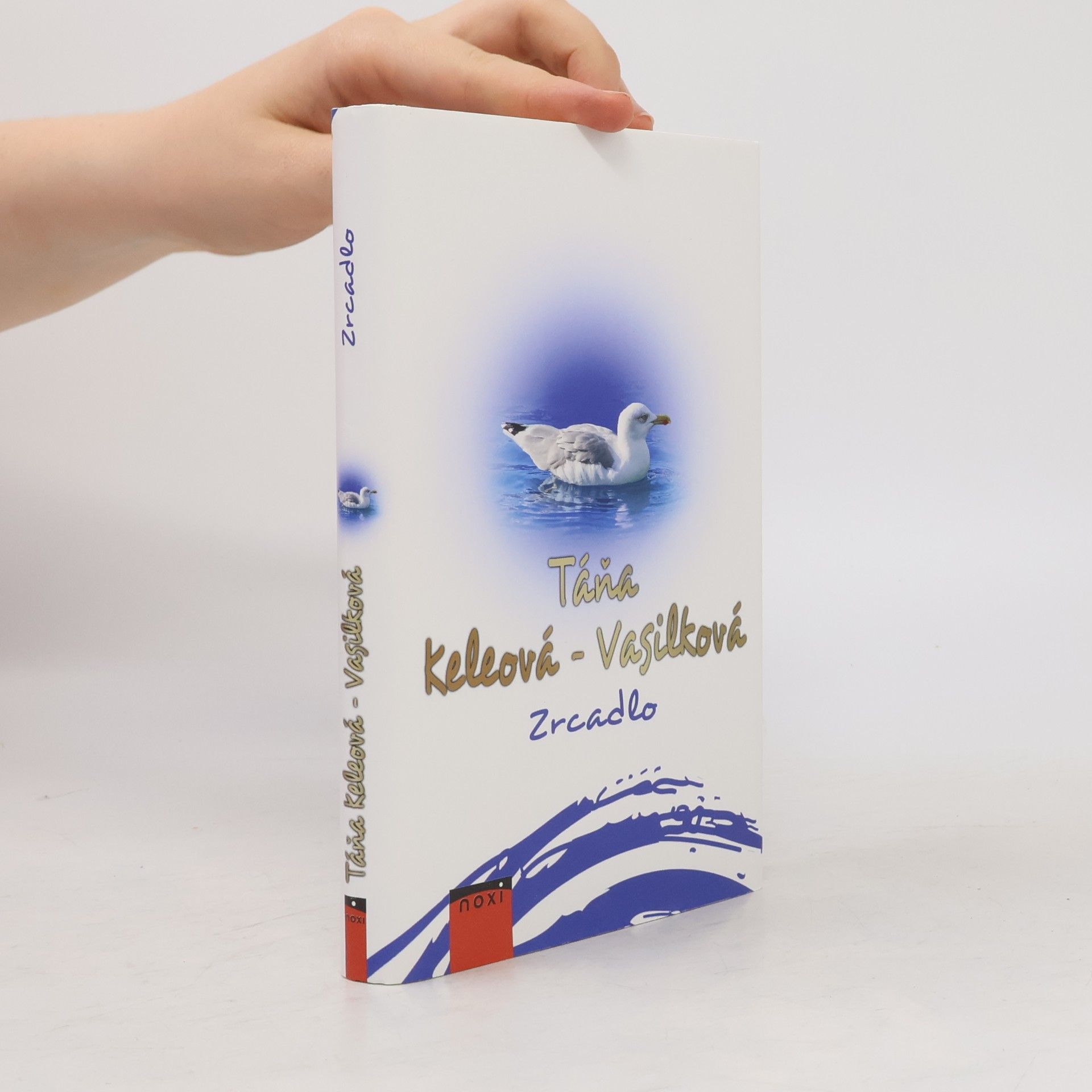 Táňa Keleová-Vasilková Zrcadlo