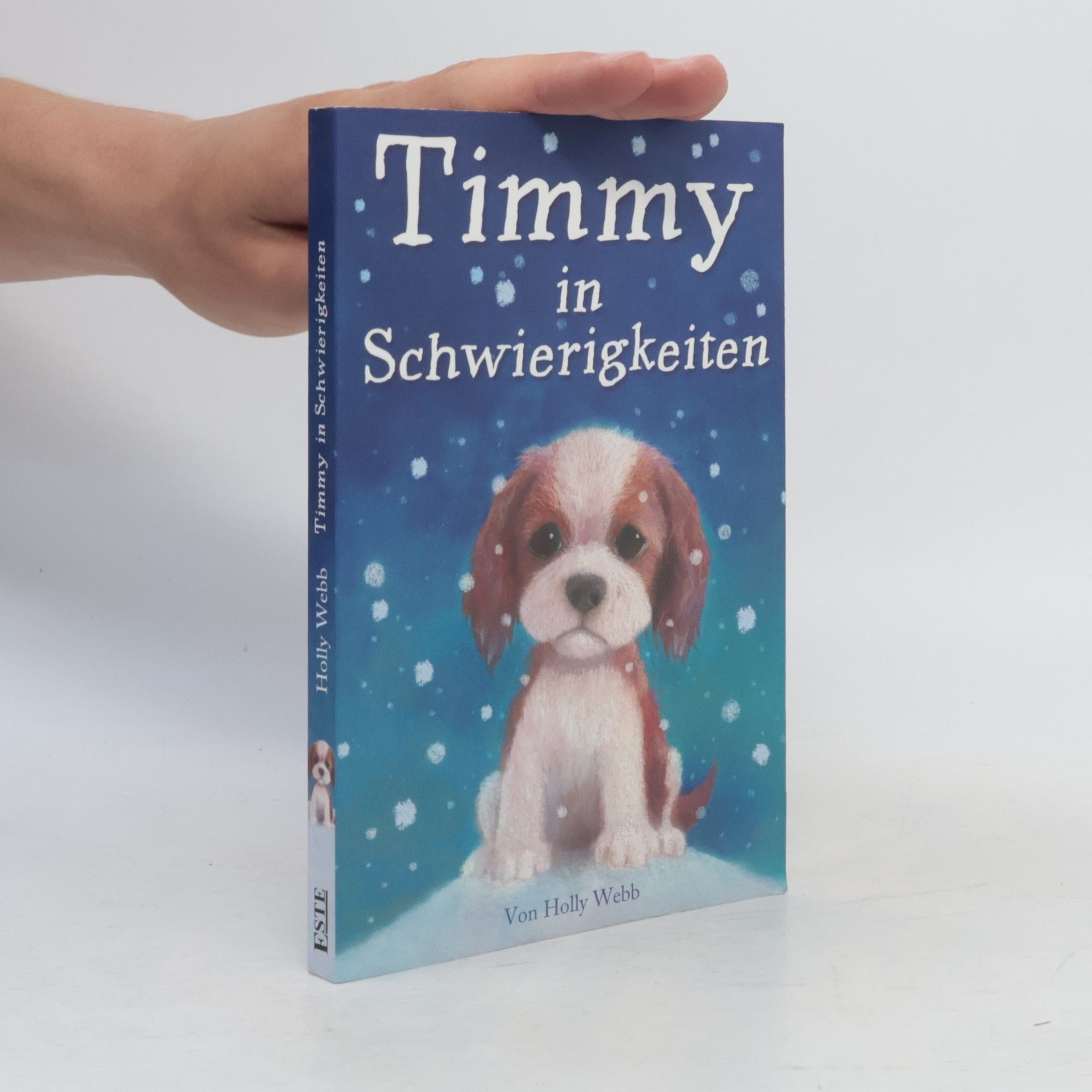 Holly Webb Timmy in Schwierigkeiten