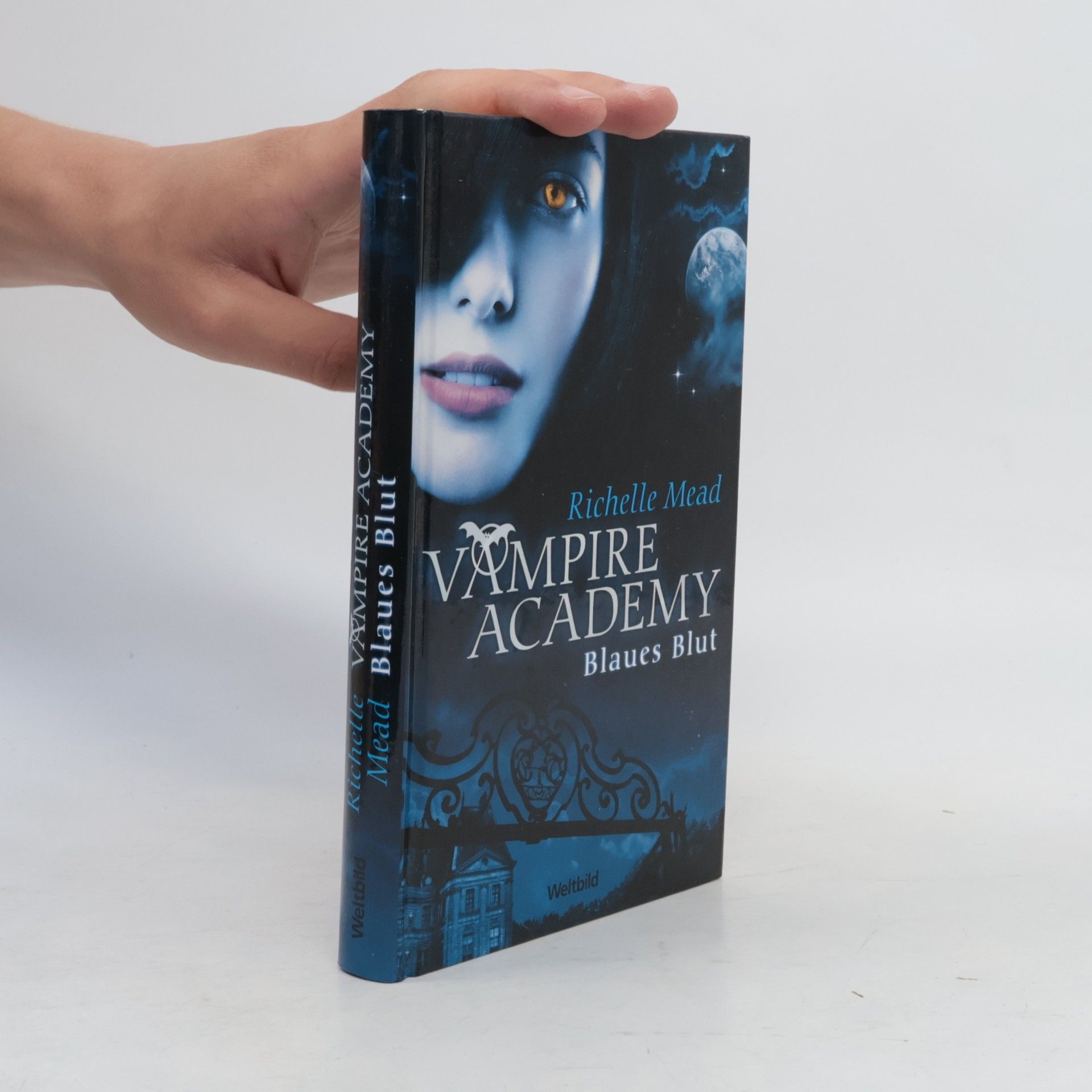 Richelle Mead Vampire Academy. Blaues Blut