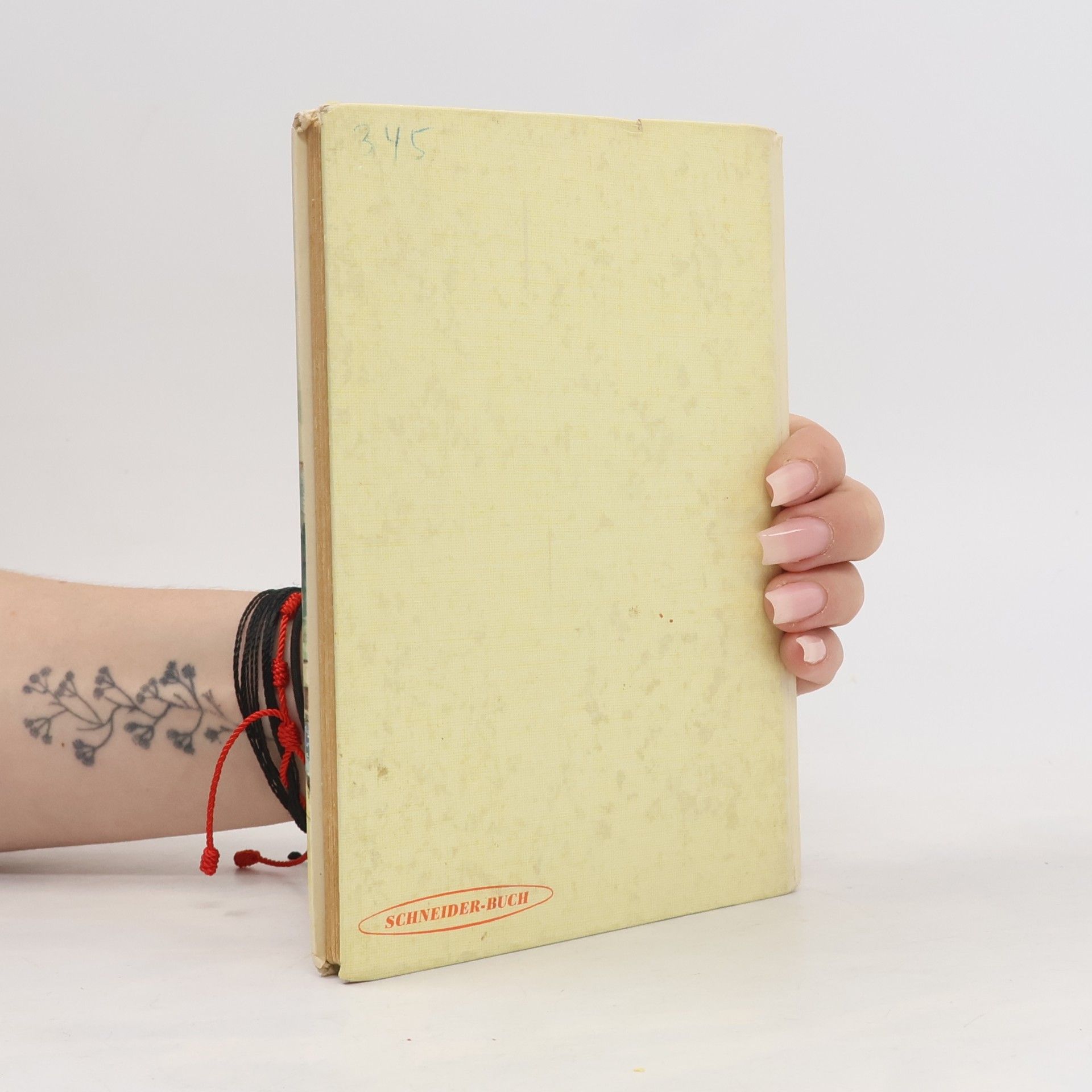 M. Haller Gisel und Vesel auf eigenen Wegen