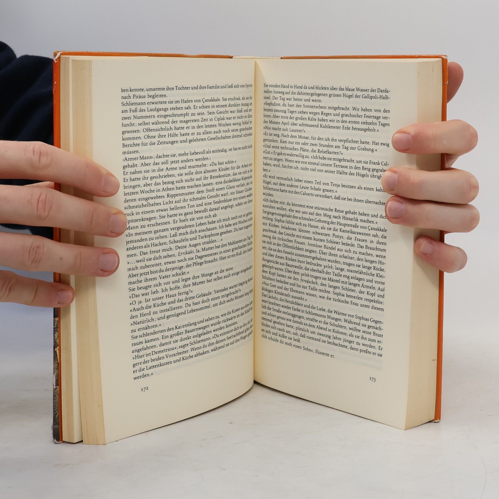 Irving Stone Der griechische Schatz