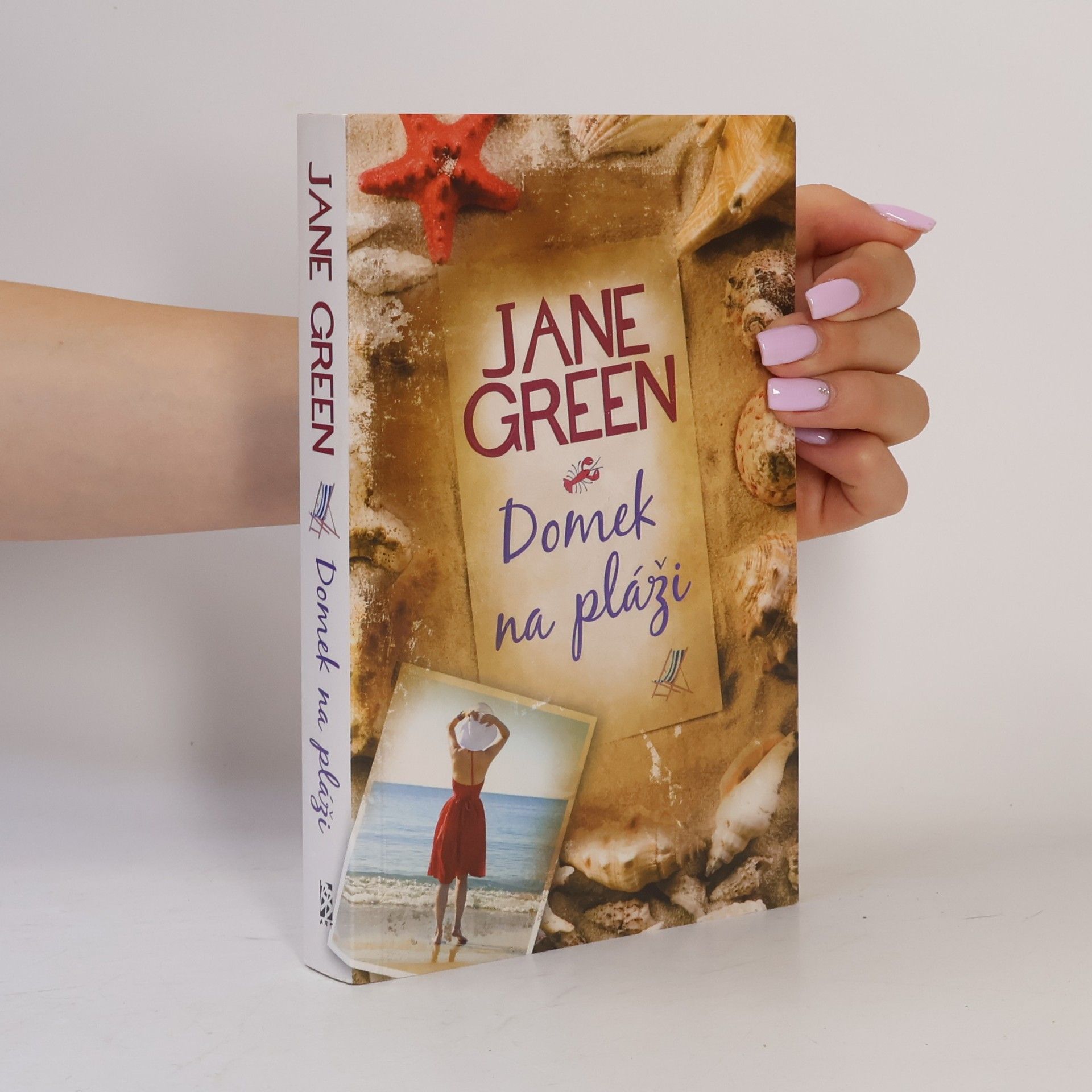 Jane Green Domek na pláži