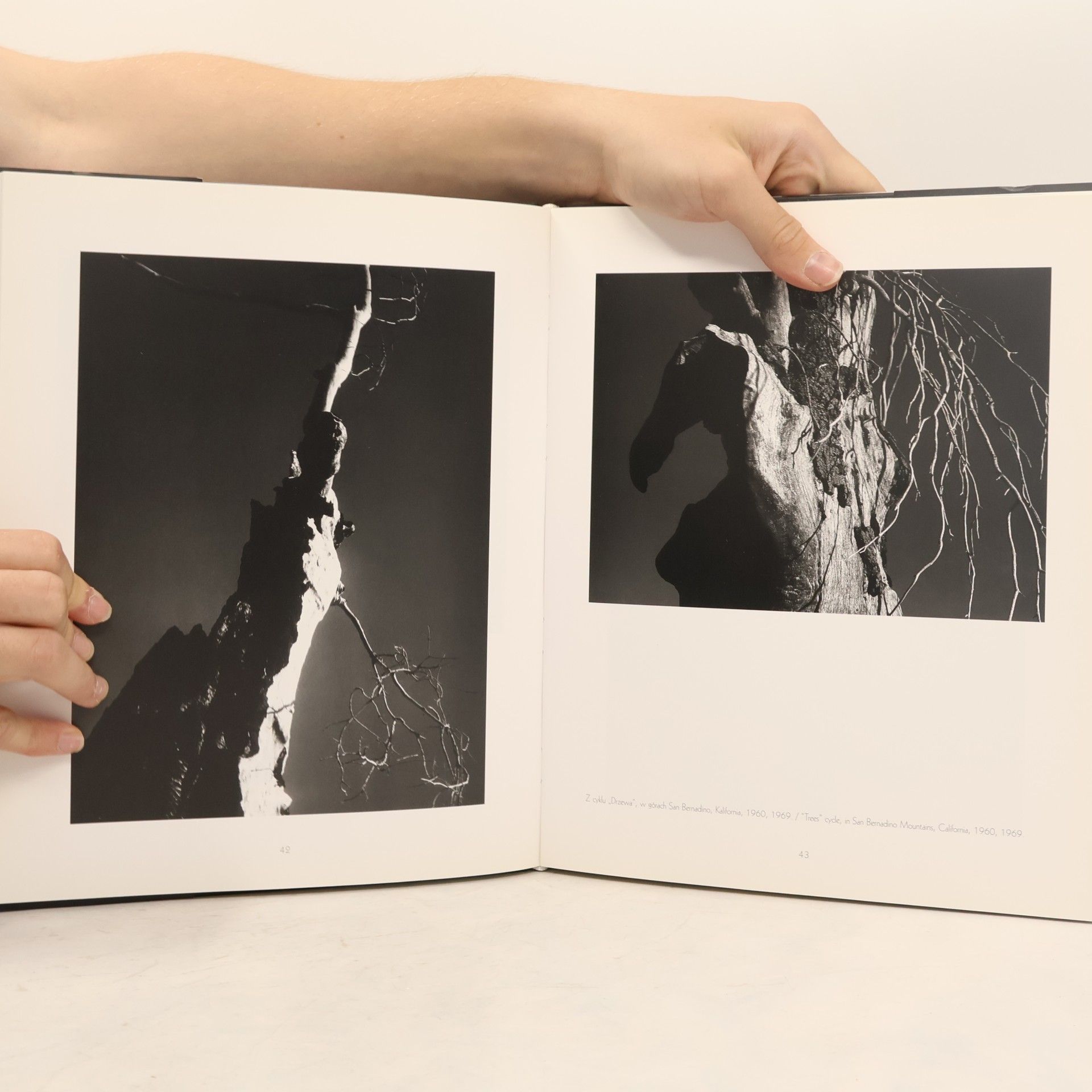 Stefan Arczynski Fotografie
