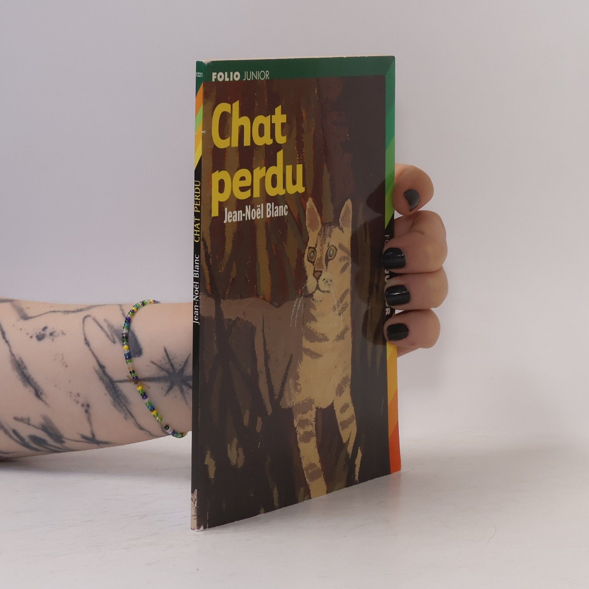 Jean-Noël Blanc Chat perdu