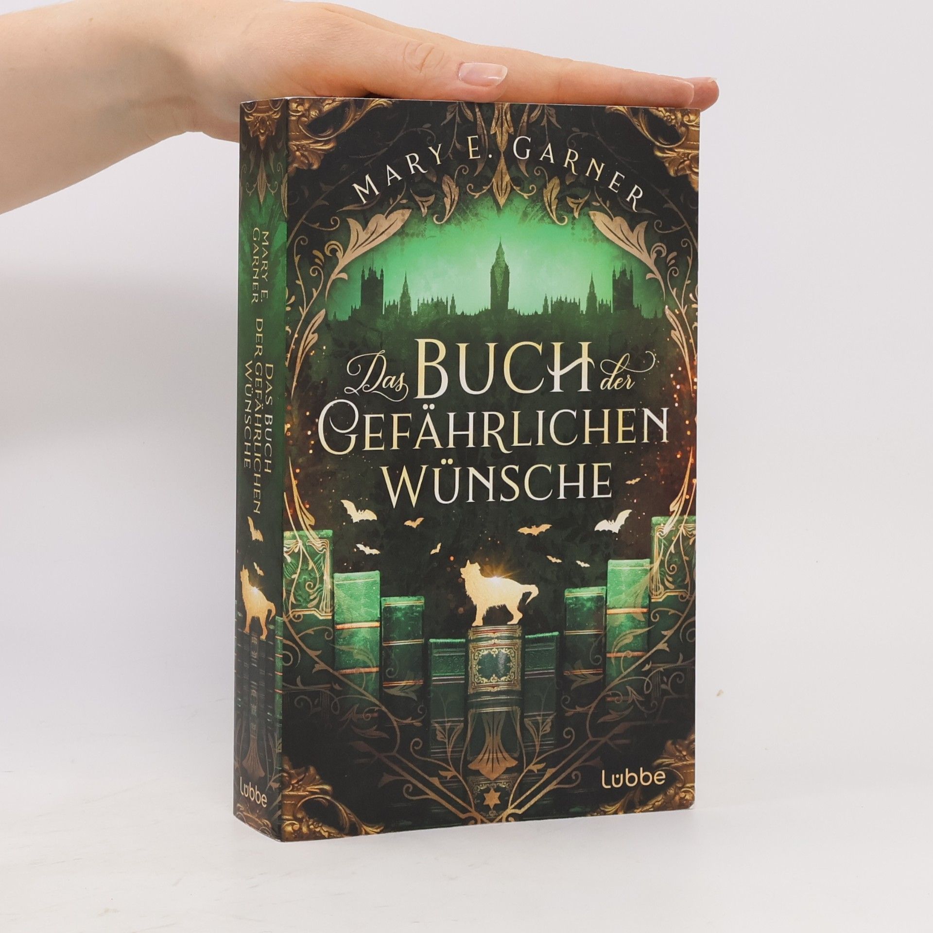 Mary E. Garner Das Buch der gefährlichen Wünsche