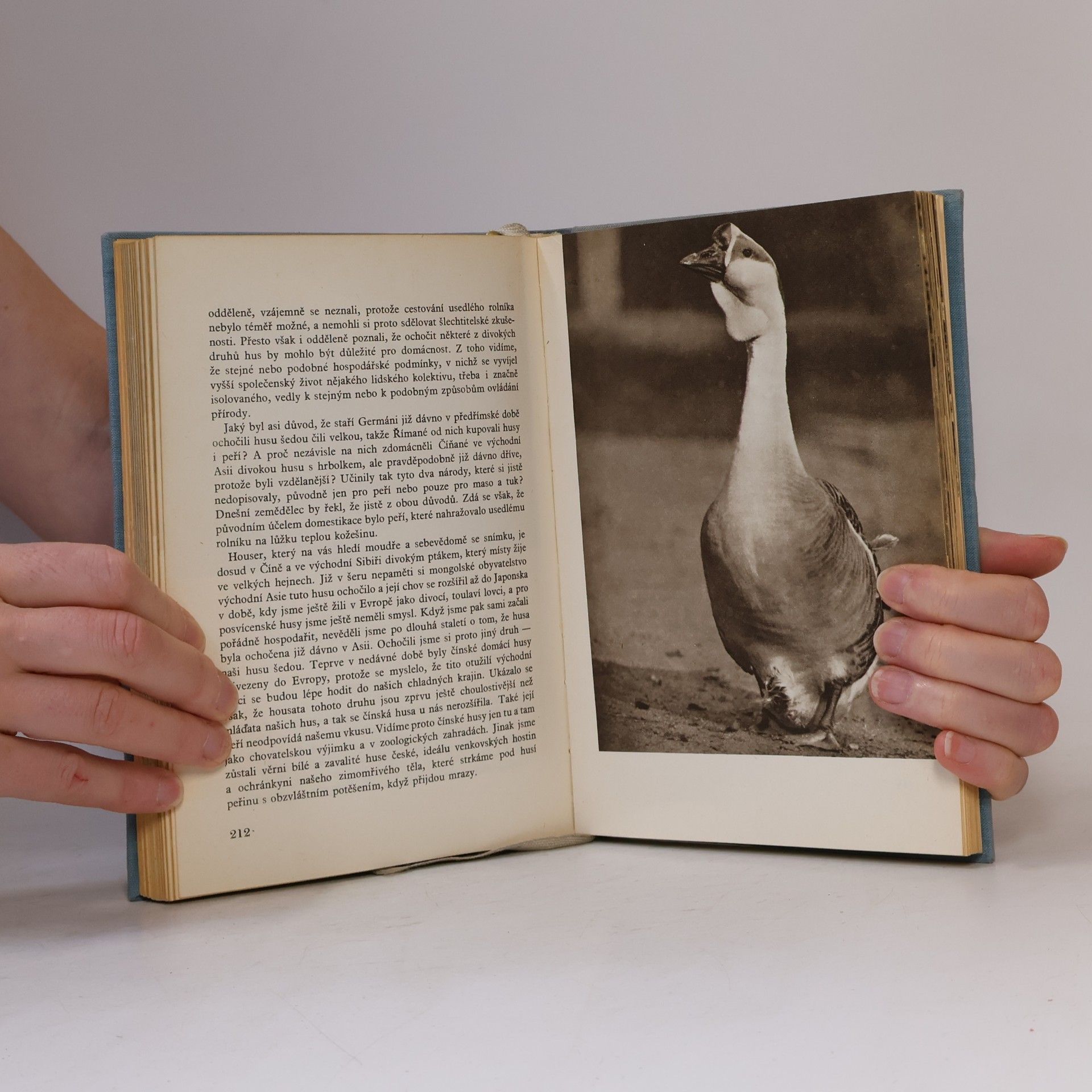 Autores varios Naše ZOO
