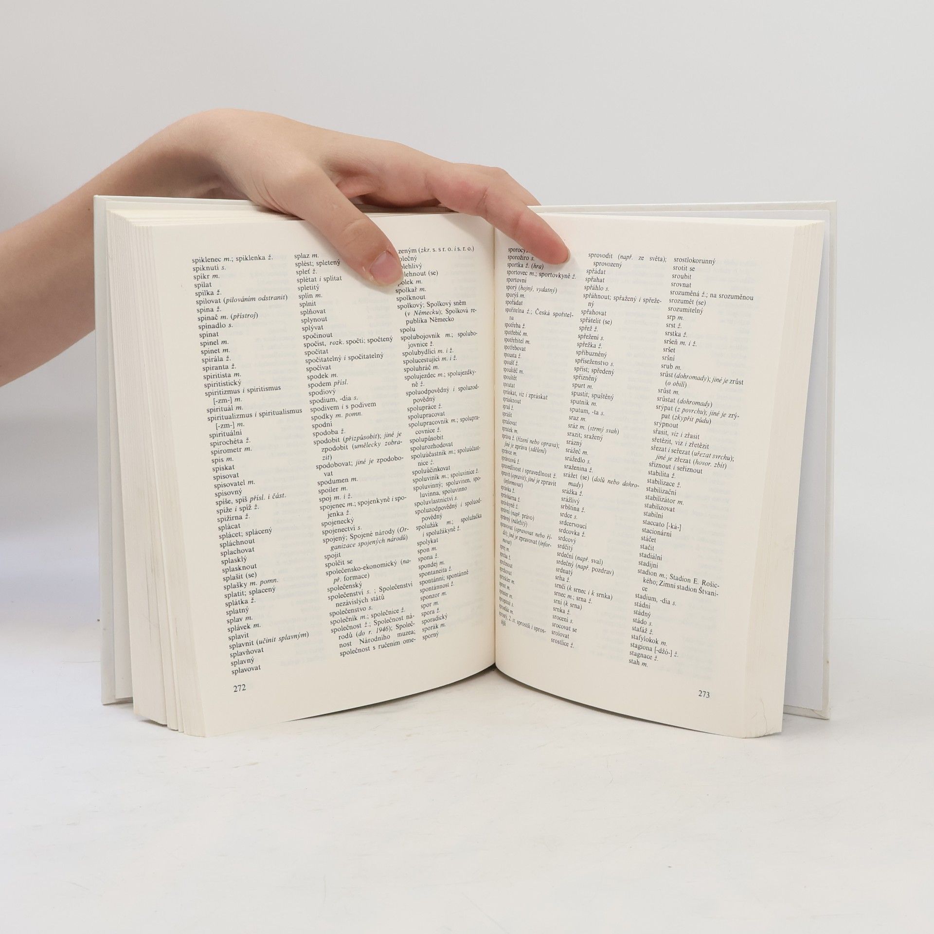 Autores varios Pravidla českého pravopisu