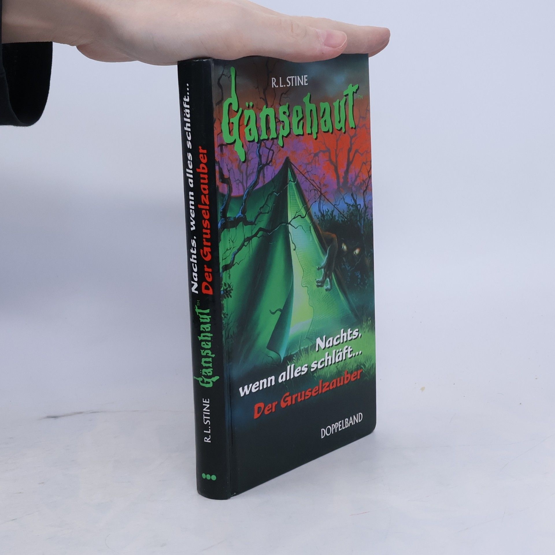 R. L. Stine Gänsehaut. Nachts, wenn alles schläft. Der Gruselzauber