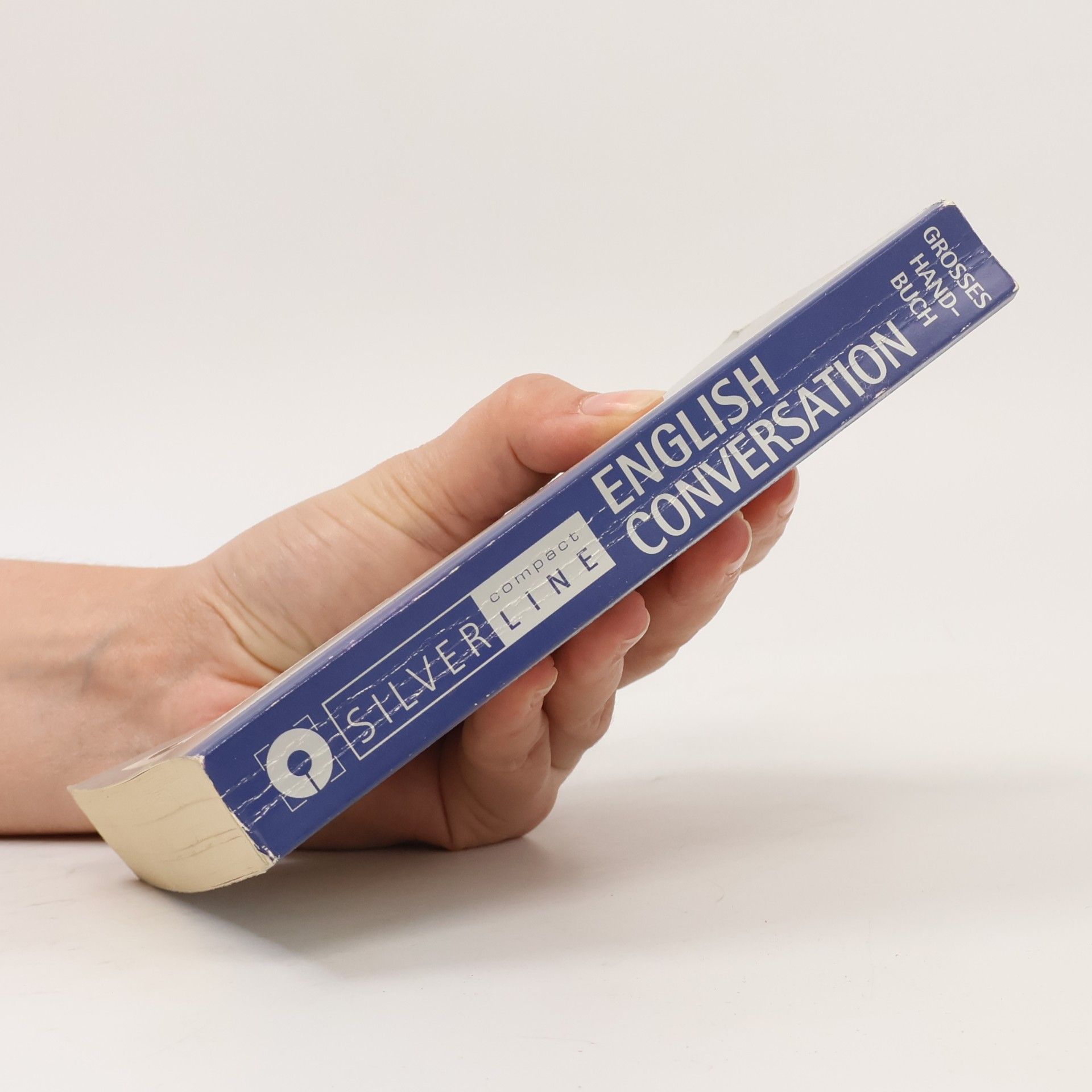 Lise Gribbin Grosses Handbuch English conversation