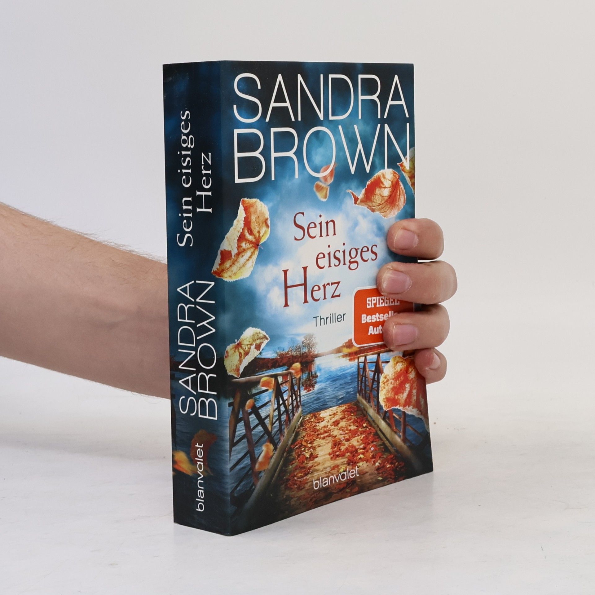 Sandra Brown Sein eisiges Herz