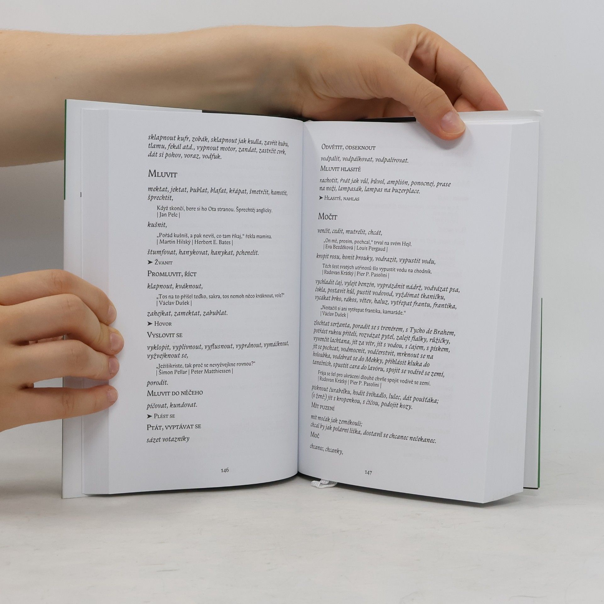 Patrik Ouředník Šmírbuch jazyka českého