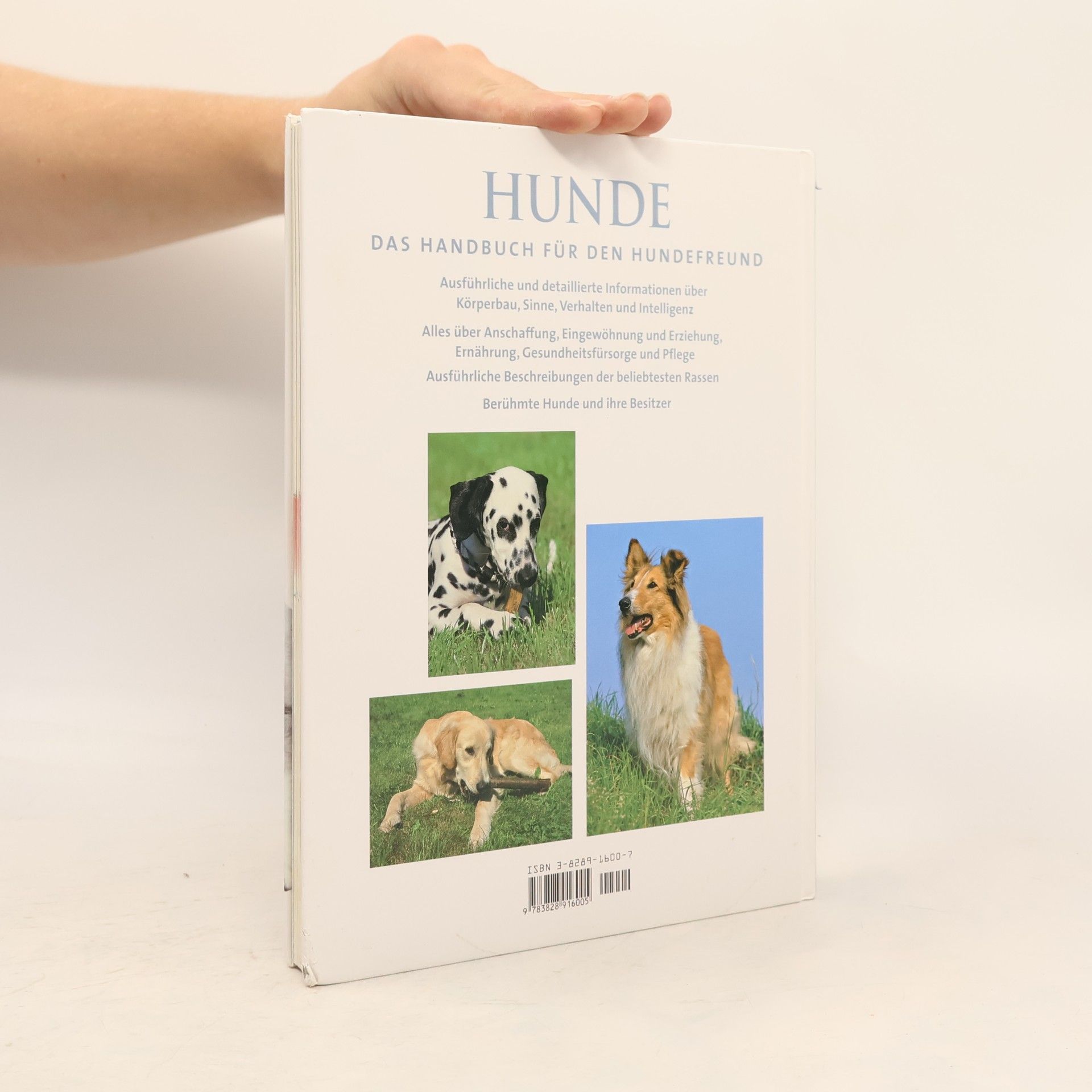 Sarah Whitehead Hunde