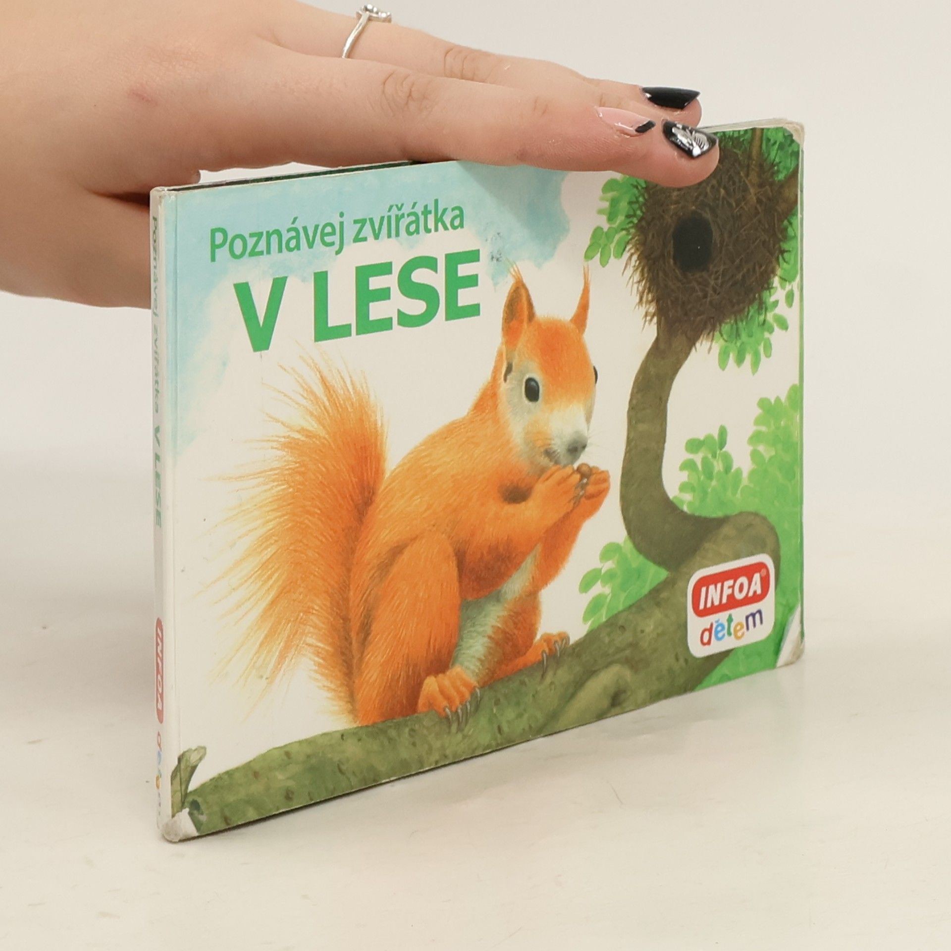 Kolektiv autorů Poznávej zvířátka V lese