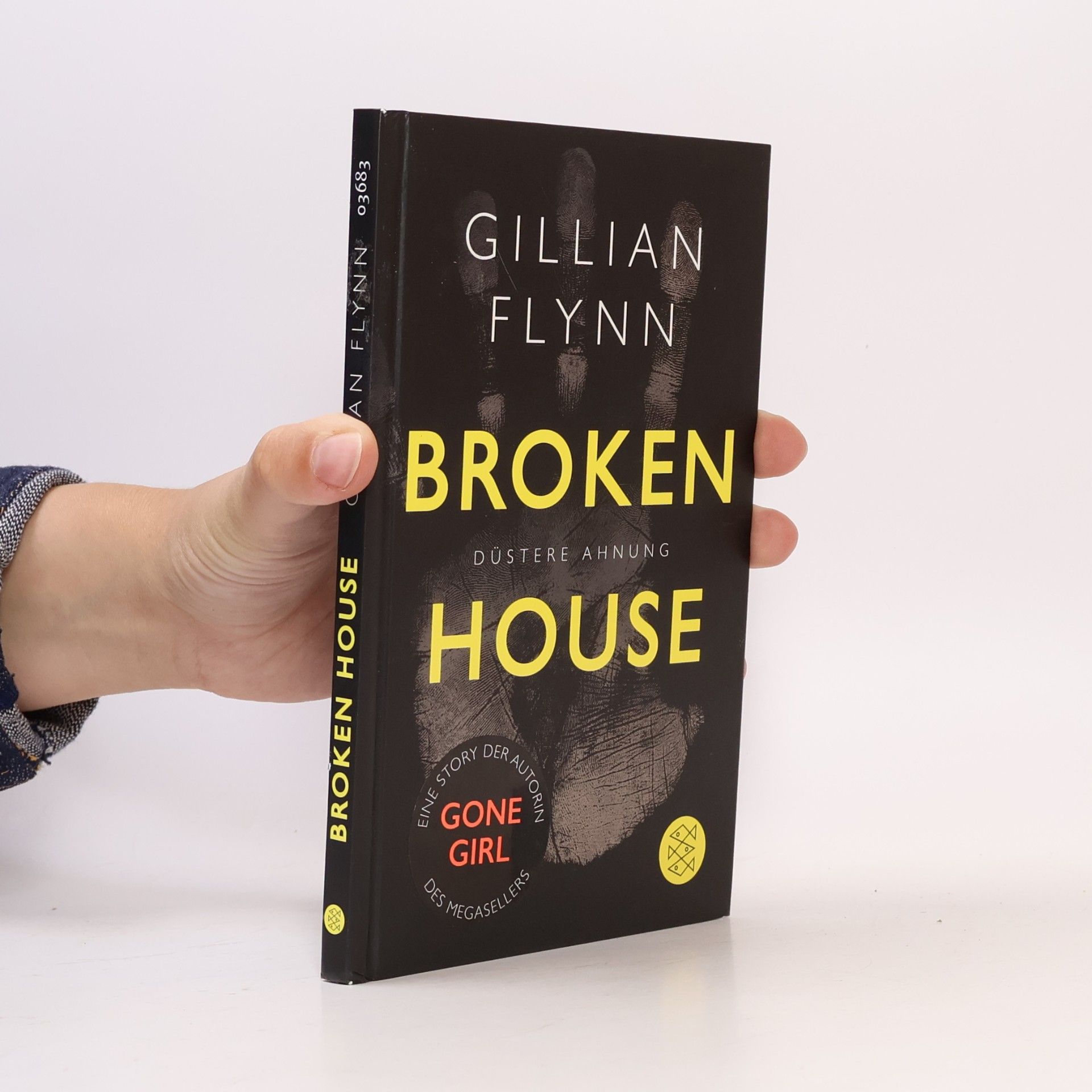 Gillian Flynn Broken House