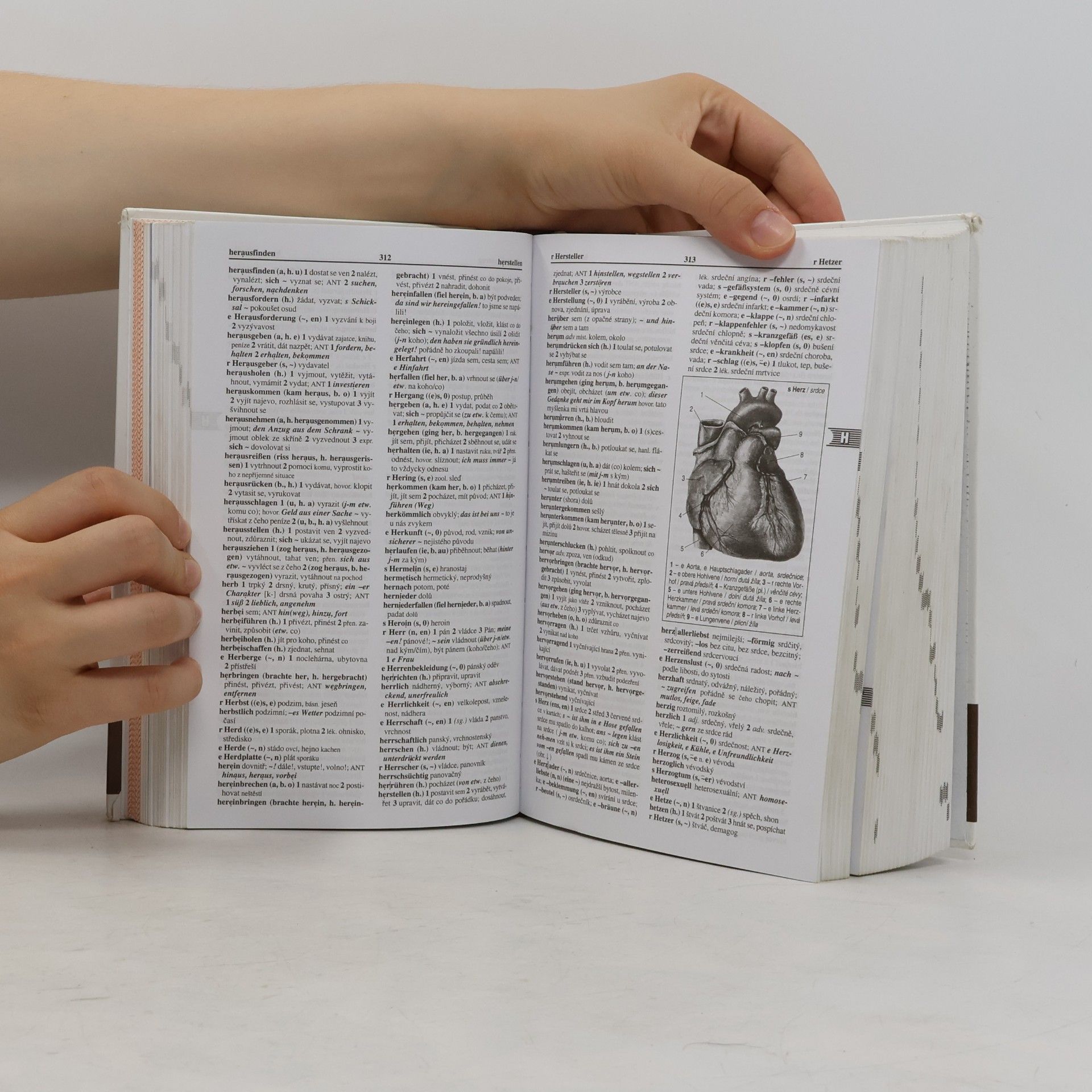 Kolektiv autorů Německo-český, česko-německý studijní slovník